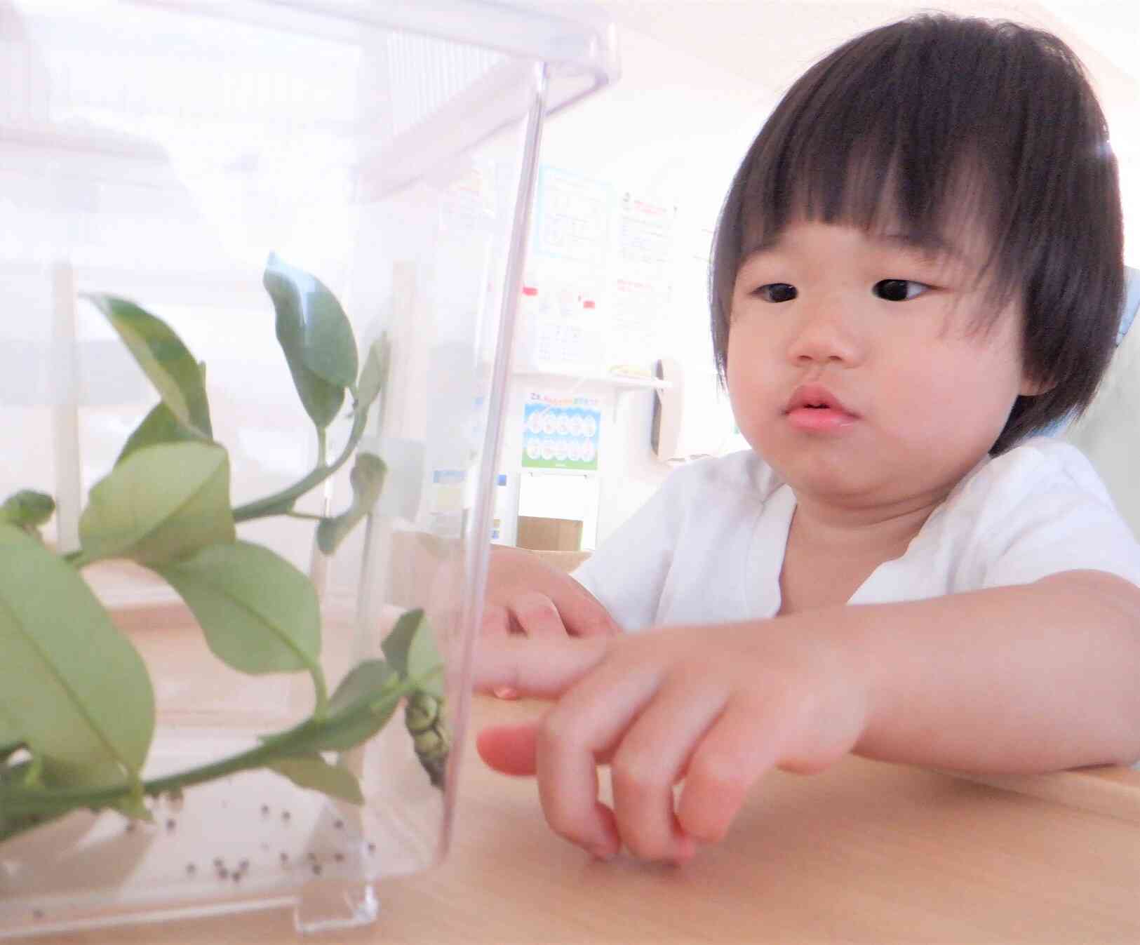 ちょうど脱皮している様子を見ることができました！