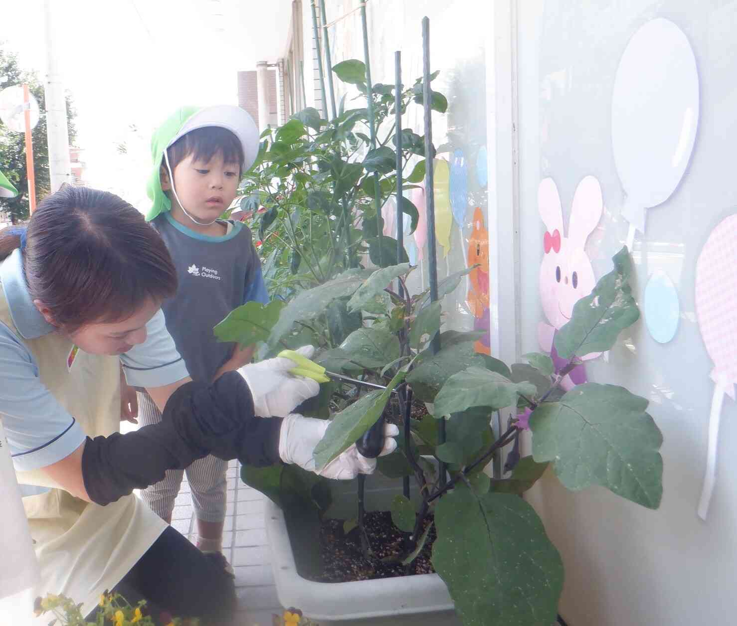 先生がんばれー！