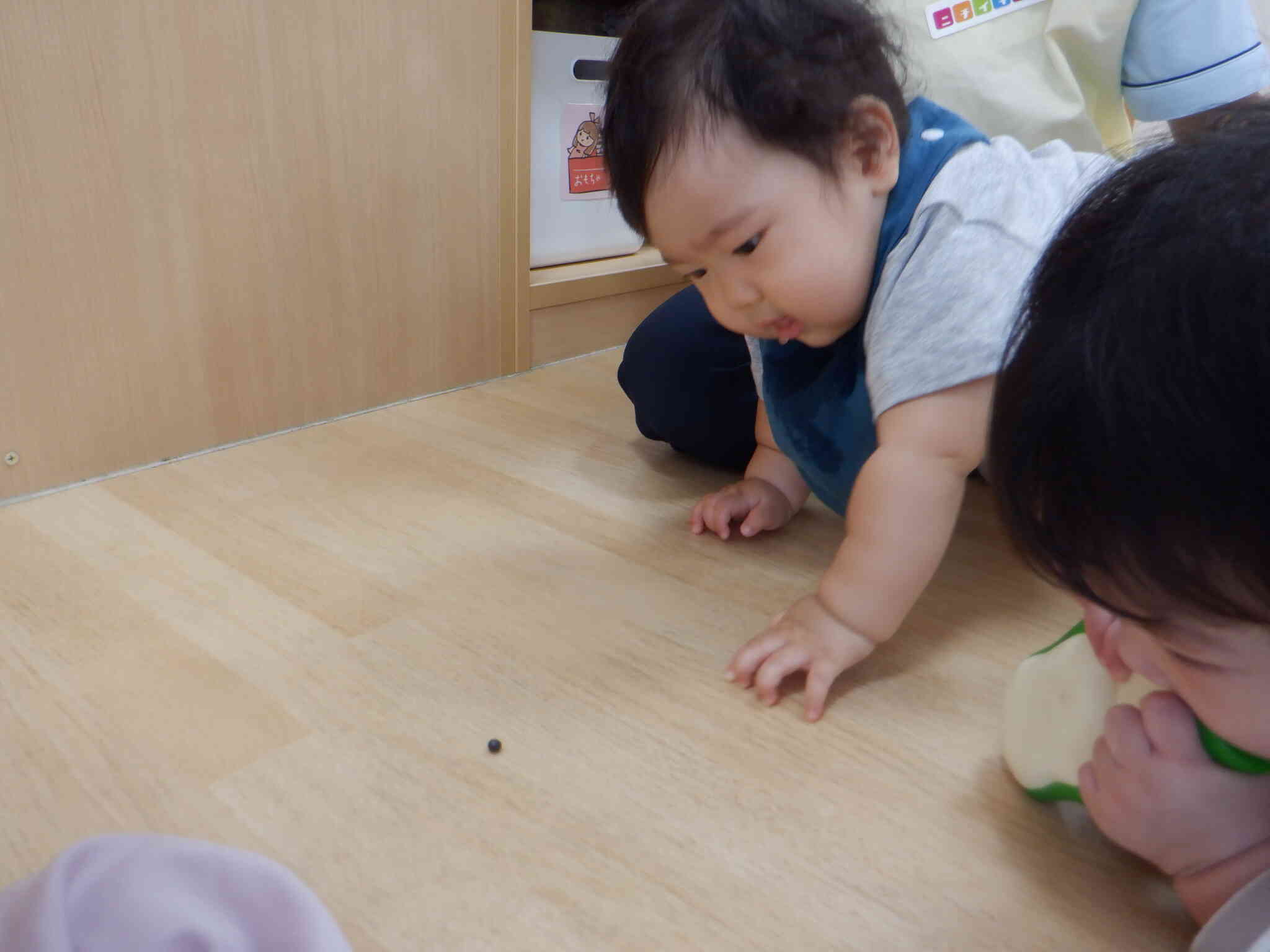 近くで見てみよ！