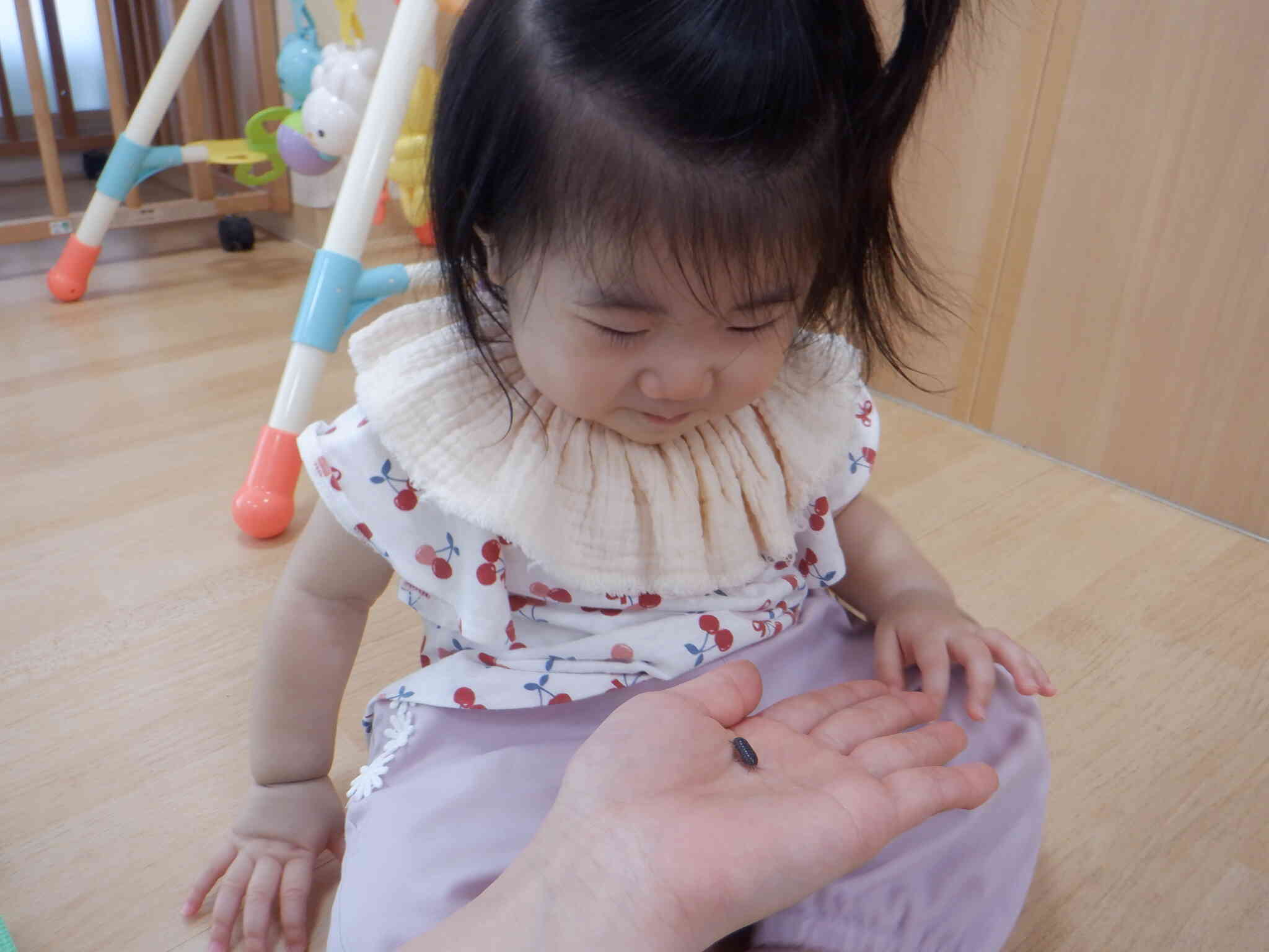 触ってみようかな～