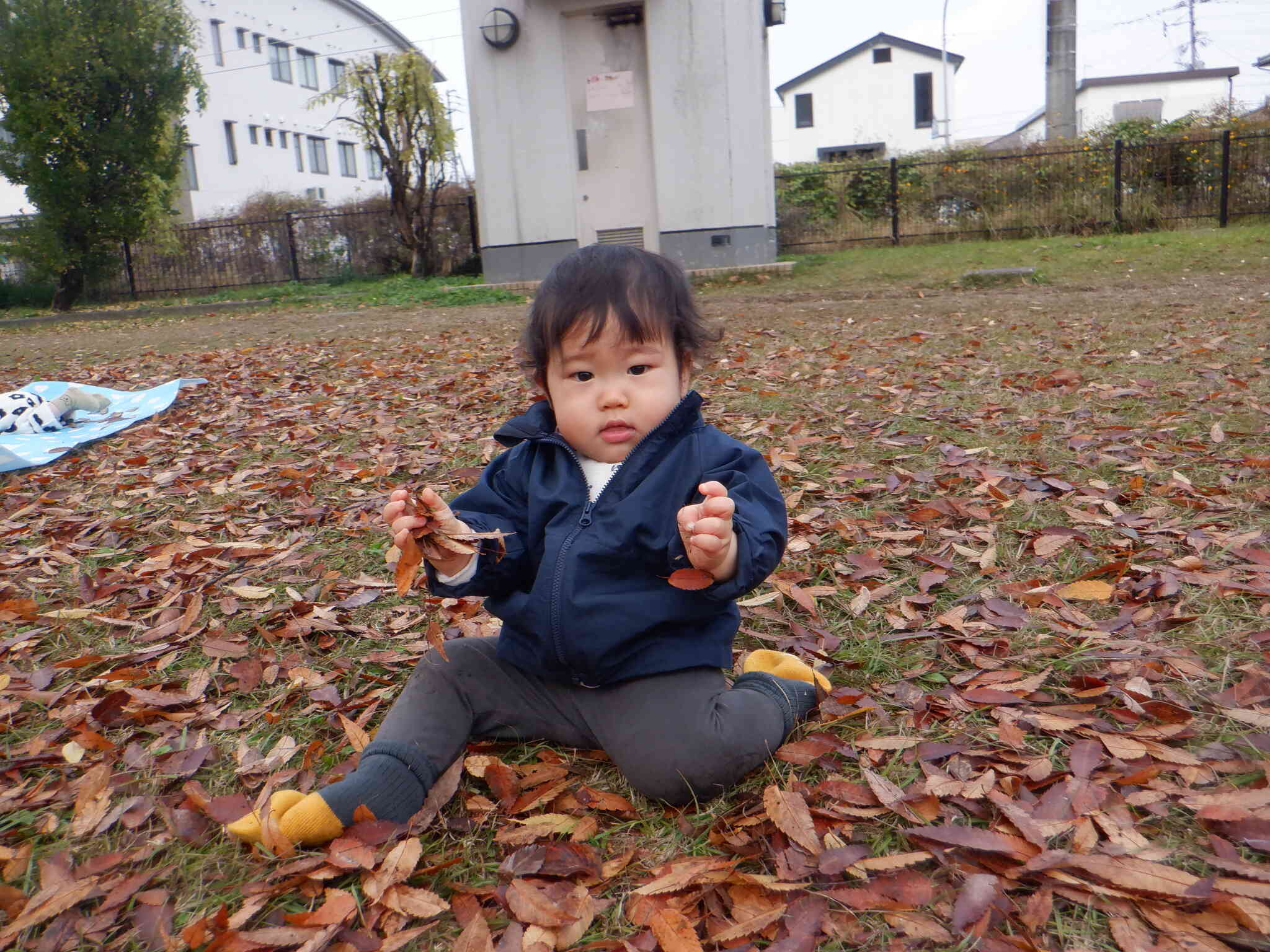 公園に行ってきたよ♬