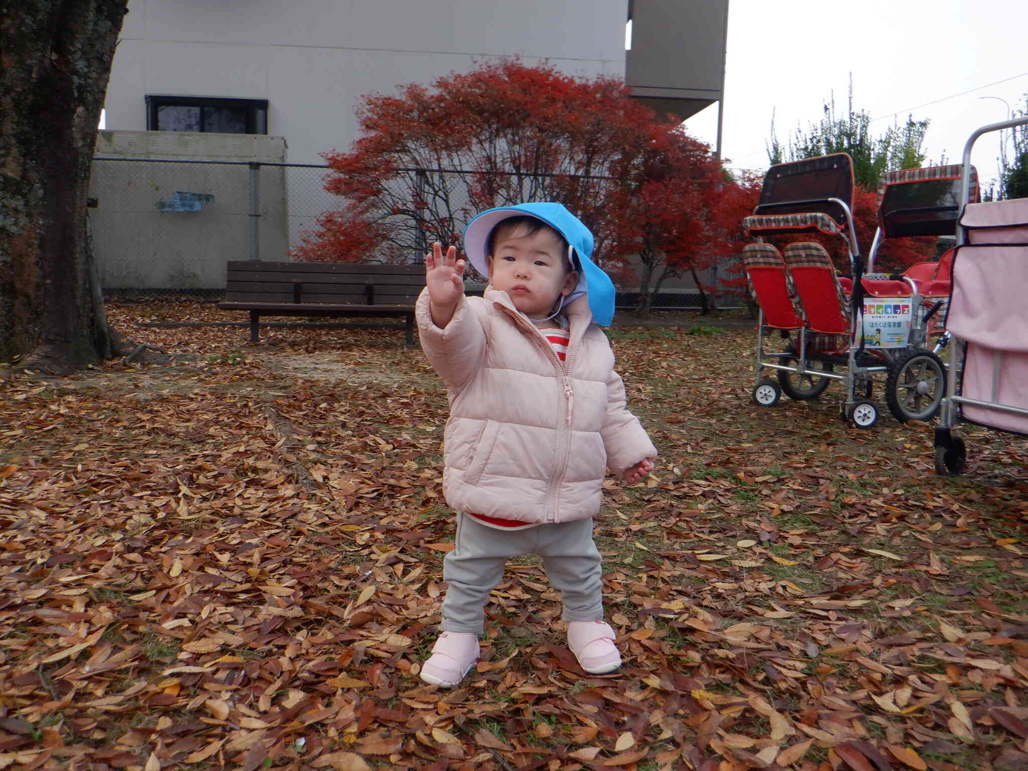 葉っぱが落ちてきた！