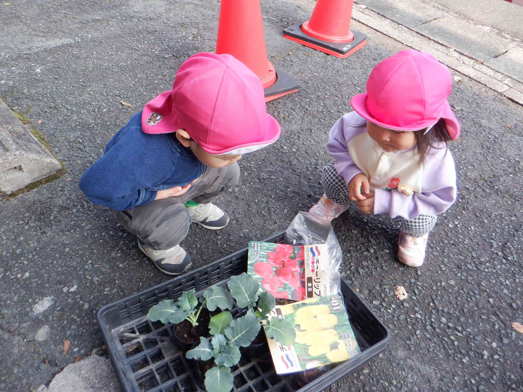 大きく育ってね！