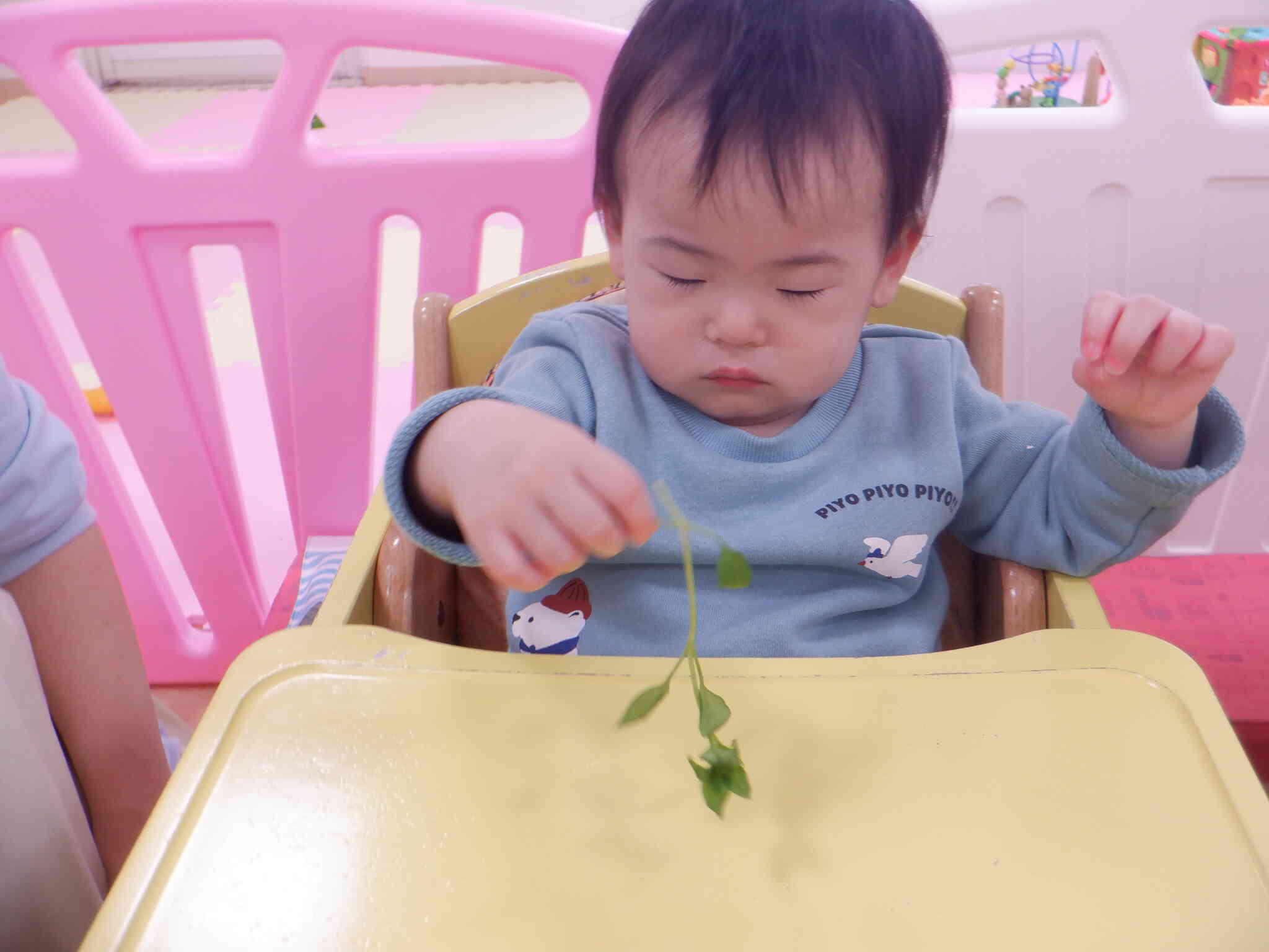 よーく観察しましょう～