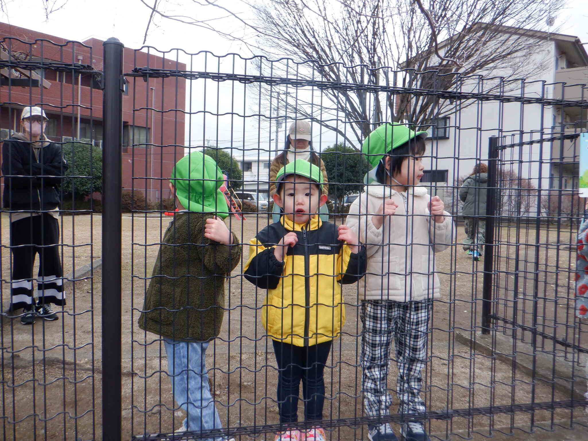 電車来るかな～！」