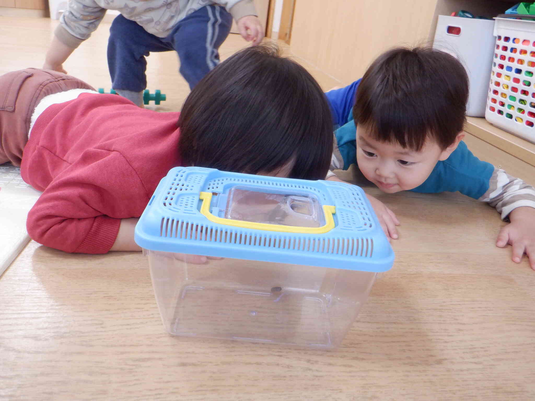 ダンゴムシさんいたよー！