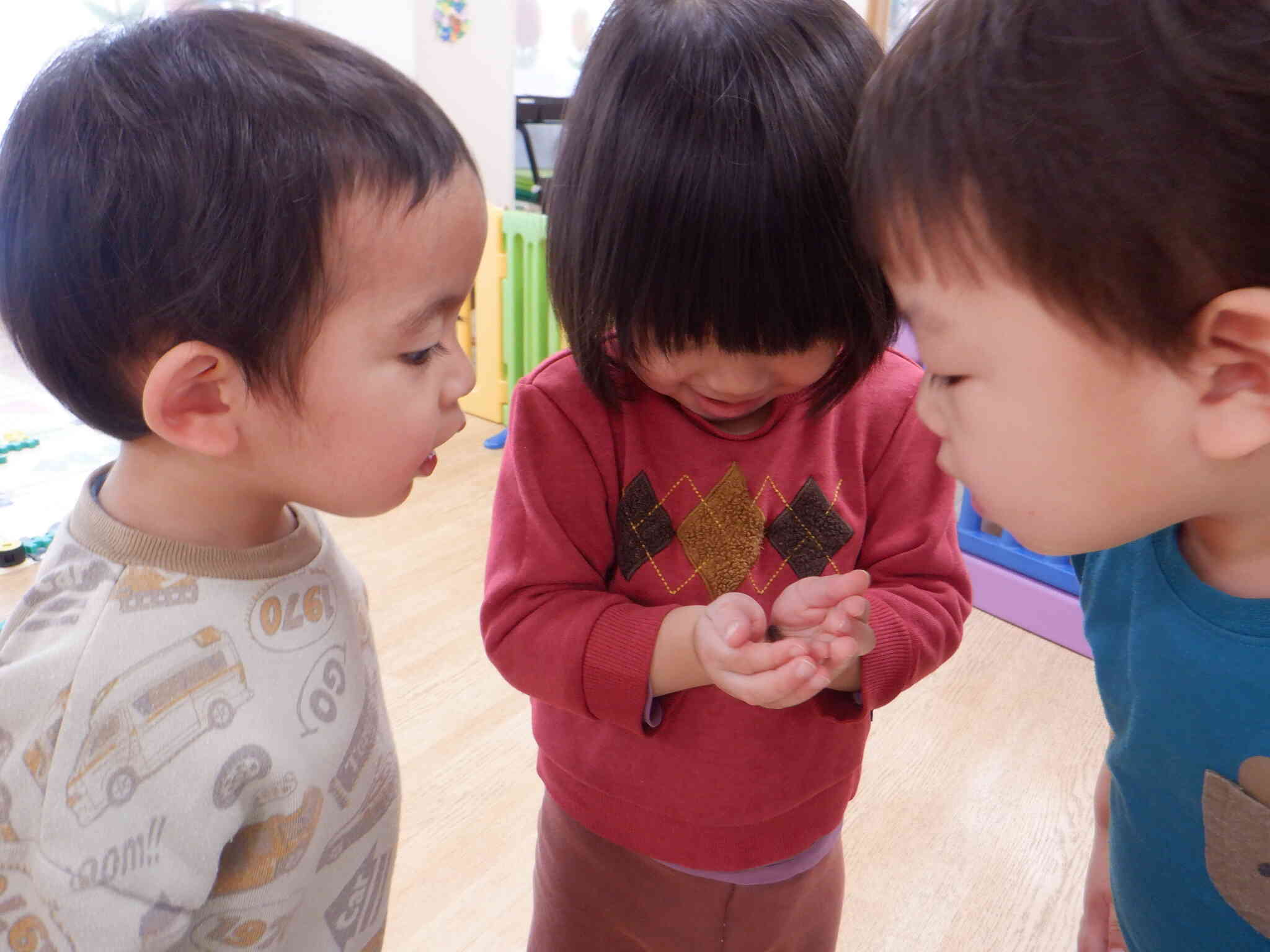 こんにちはダンゴムシさん！