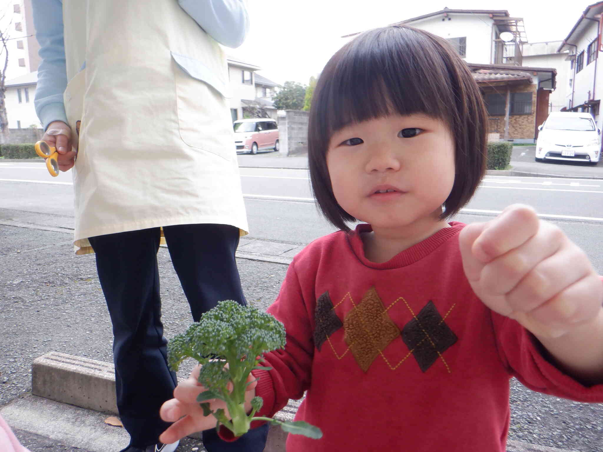 みてー！とれたよ！