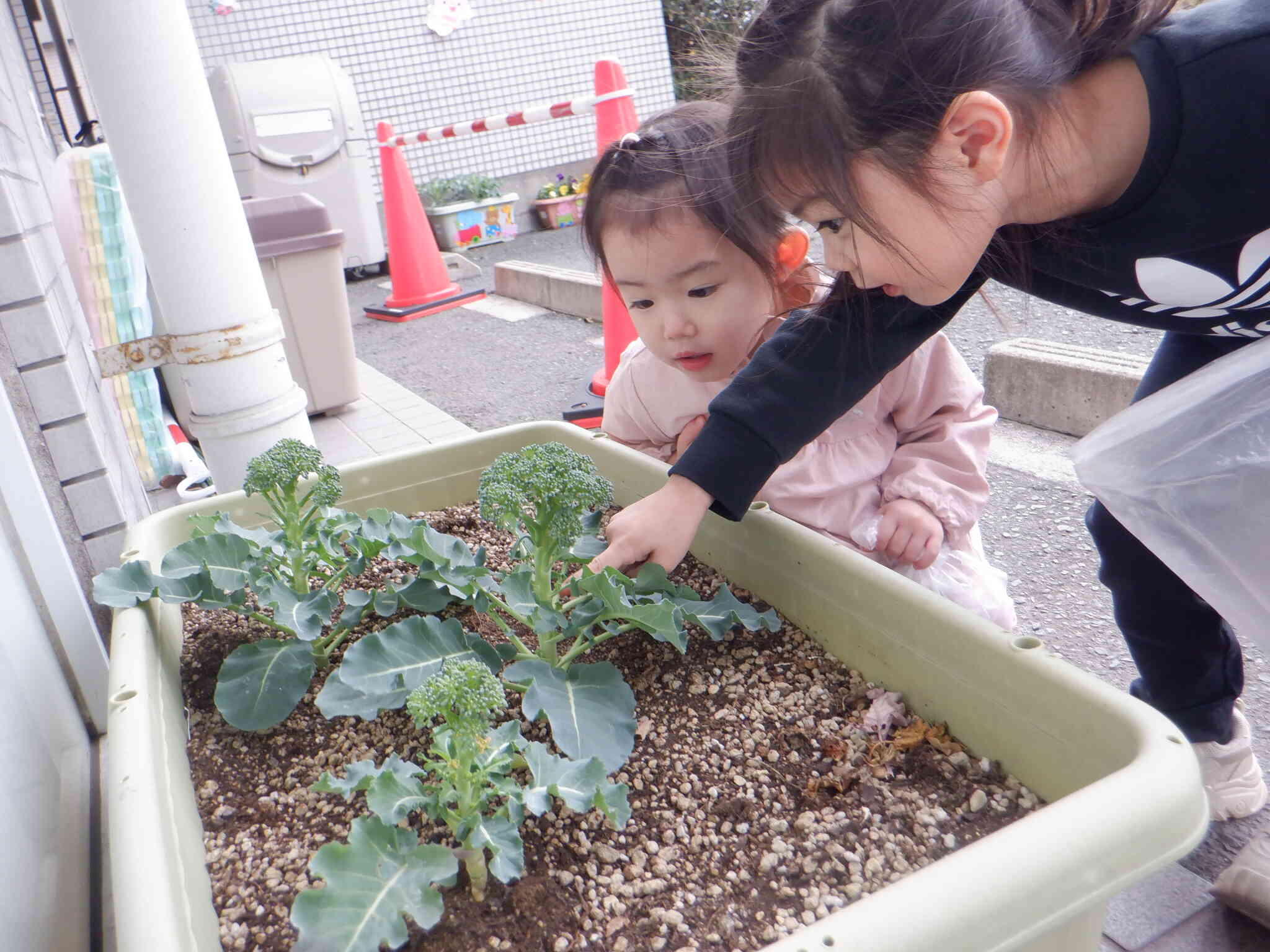 保育の見学にきてみませんか～？