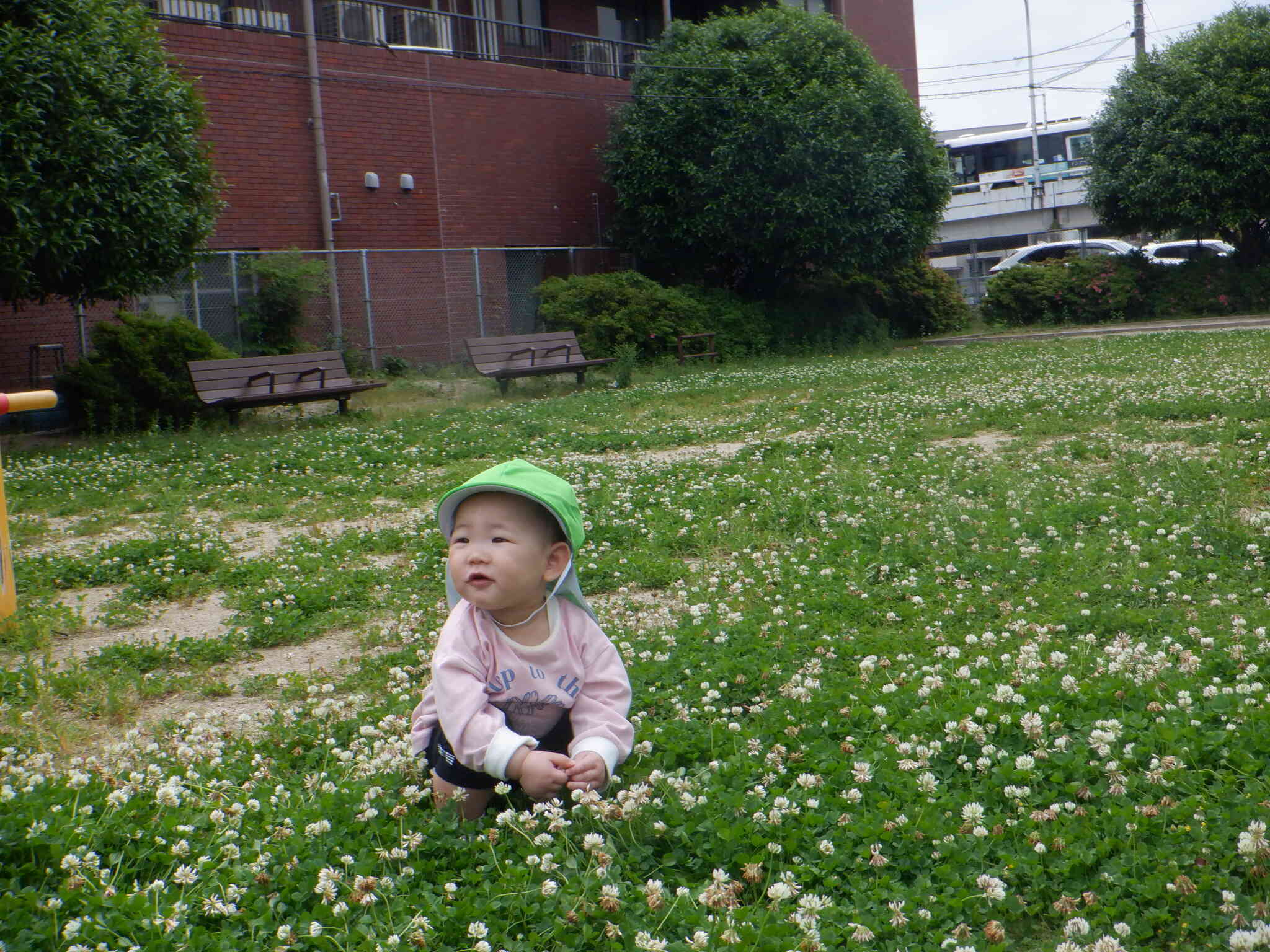 お花だ！