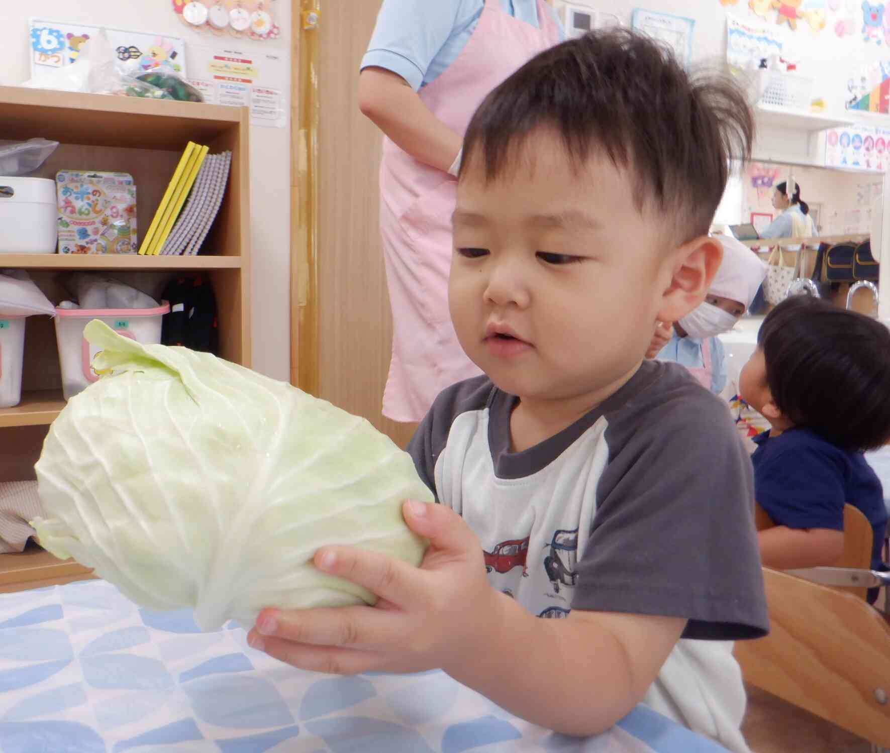 【食育】キャベツちぎりをしたよ！