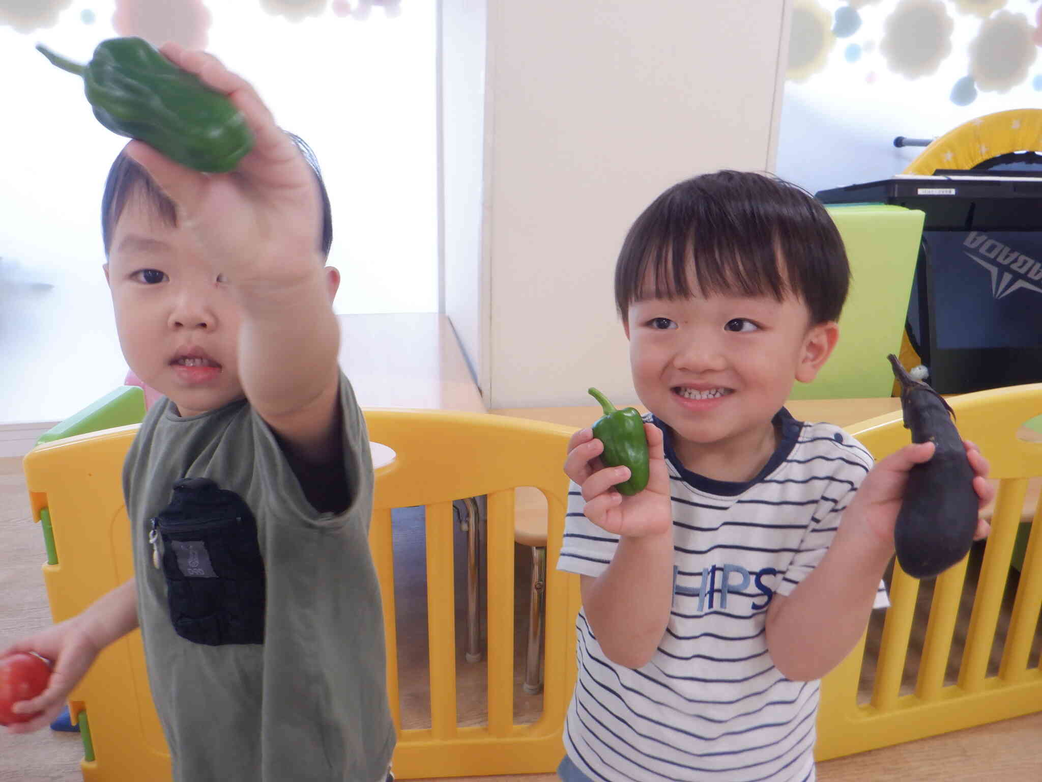 夏野菜の収穫！