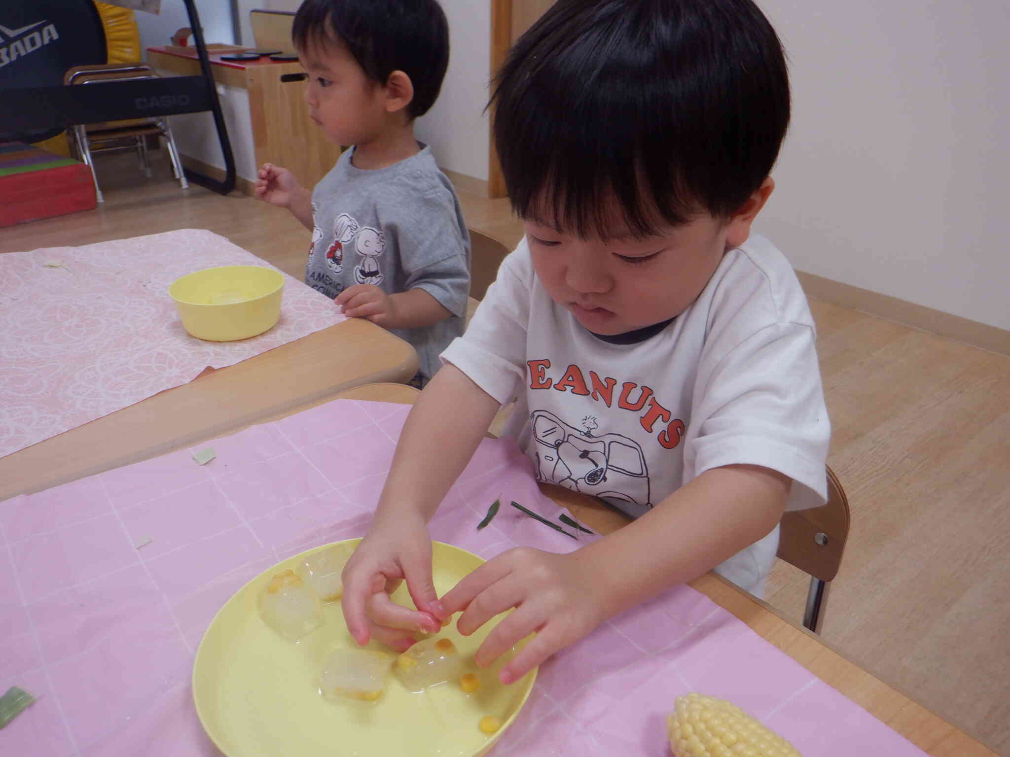 とうもろこし　活動編