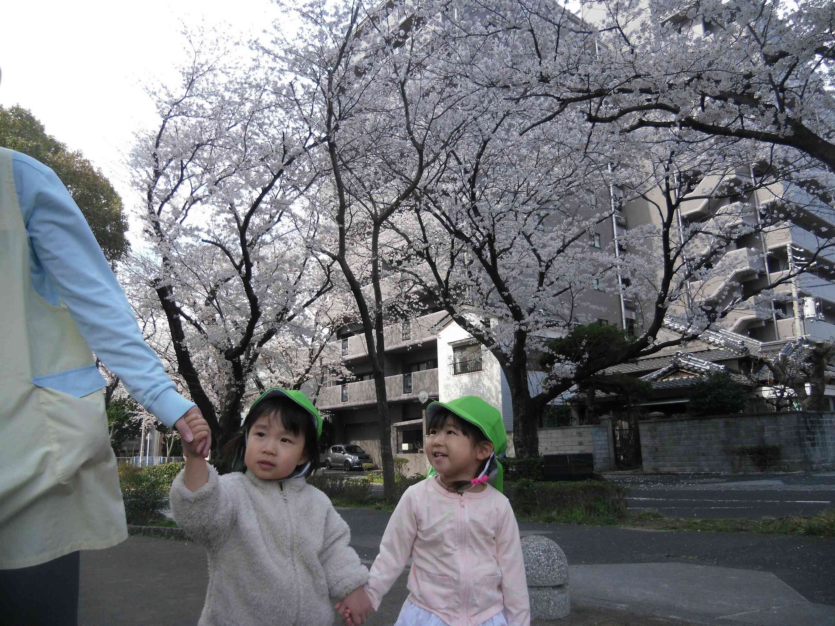 お散歩