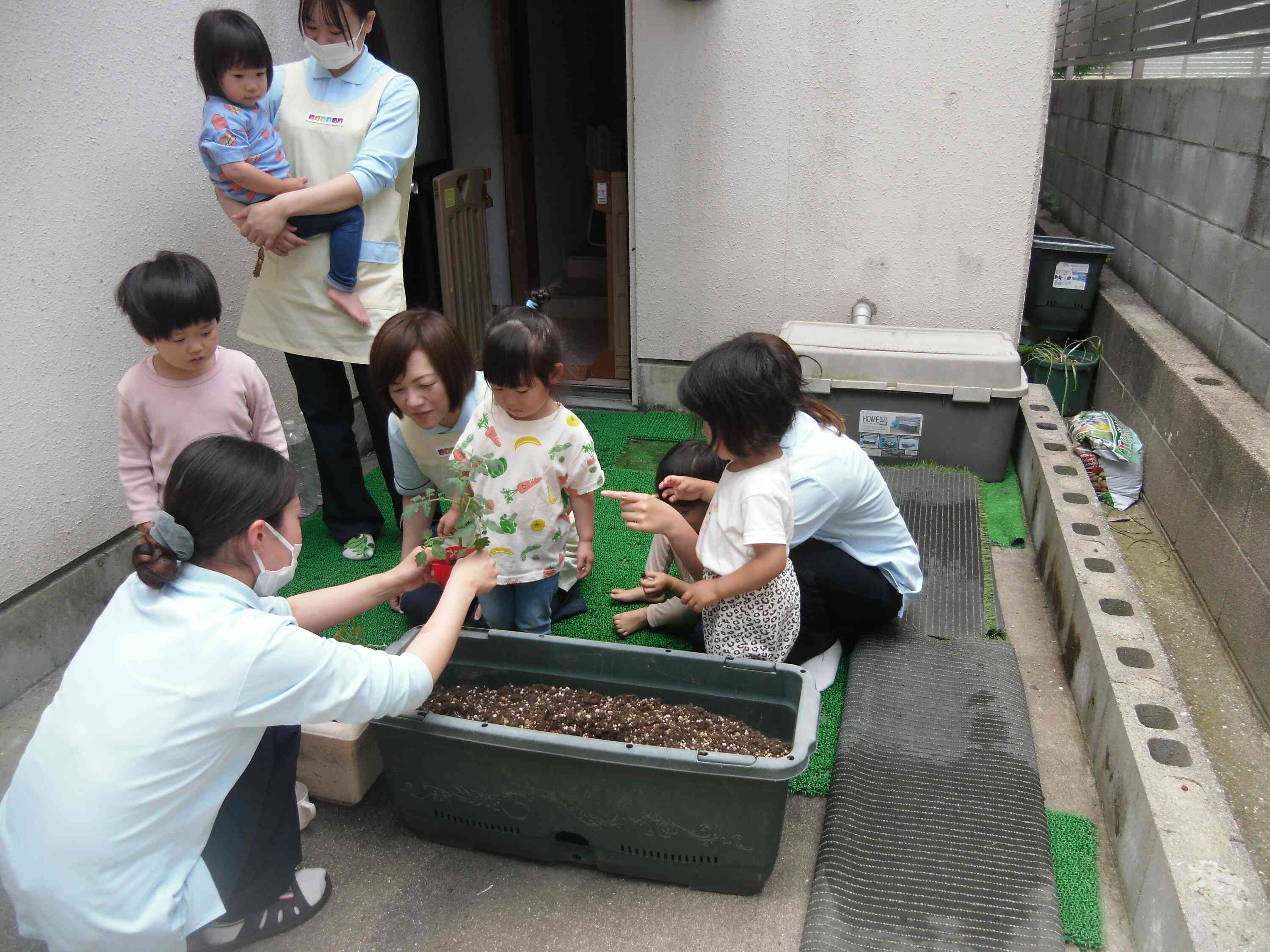 食育～野菜の苗植えをしよう～