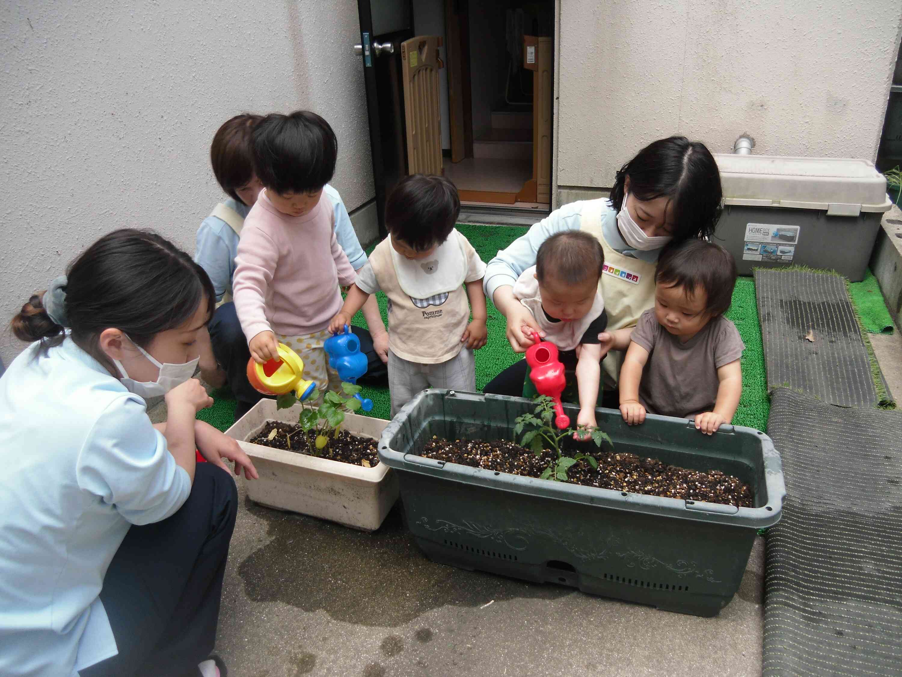 トマトさん、オクラさん　おおきくなあれ！