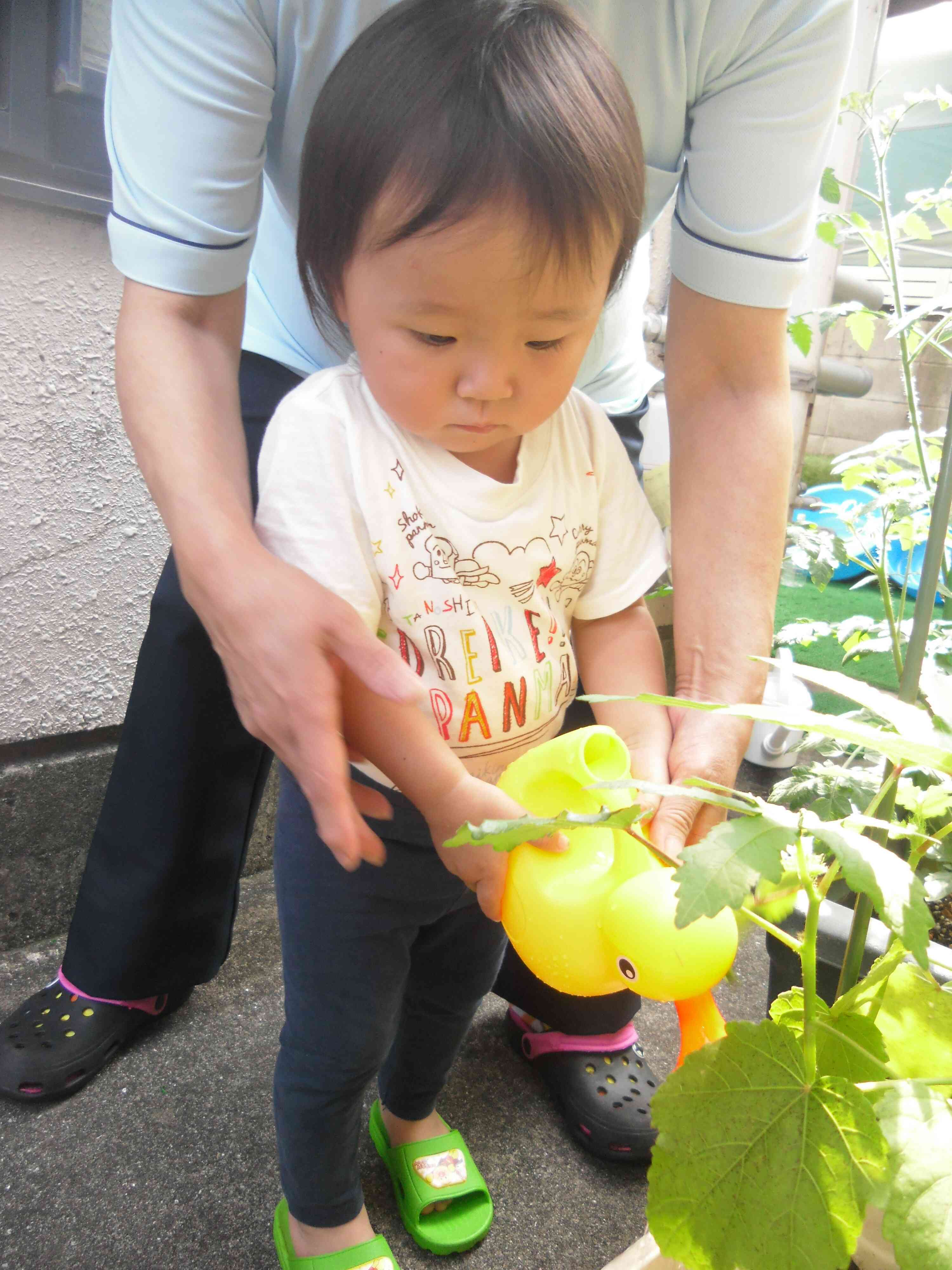 先生と一緒にお水をあげたよ