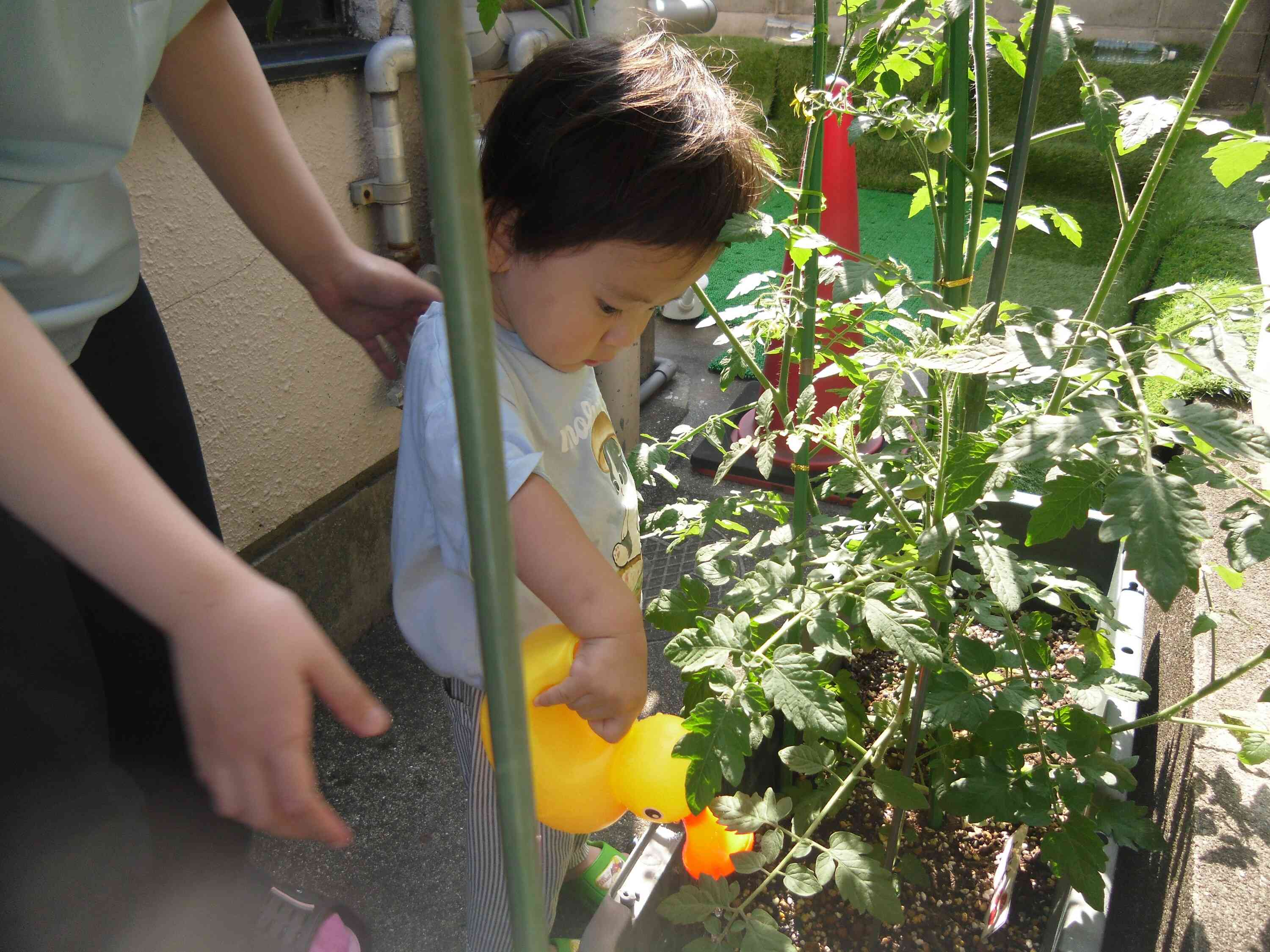 おおきくなあれっ