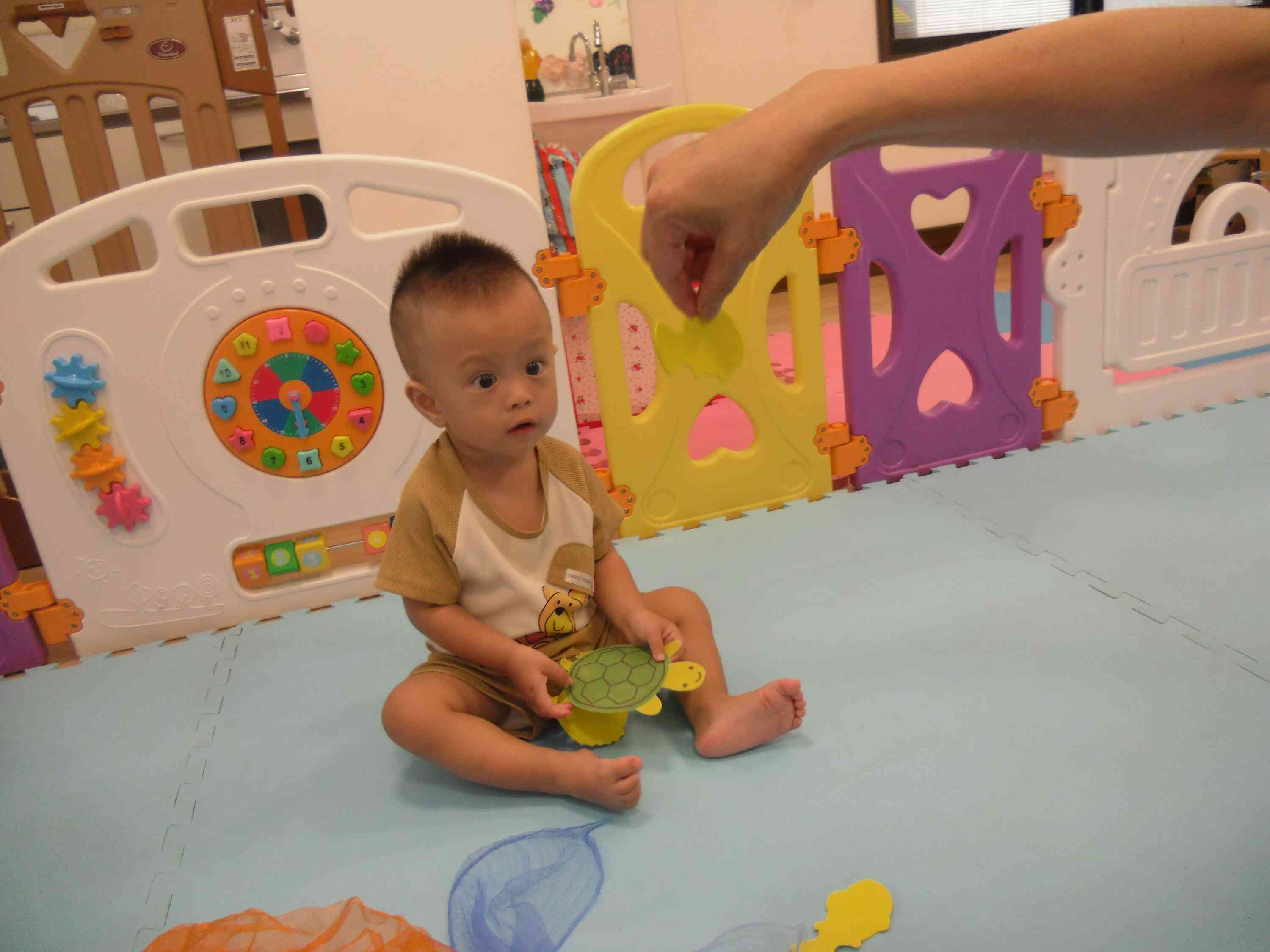 海のいきものみ～つけたっ