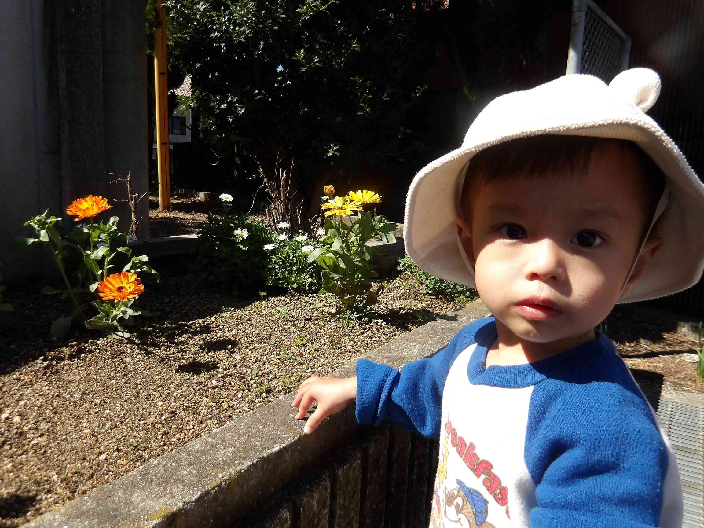 お花をみつけたよ