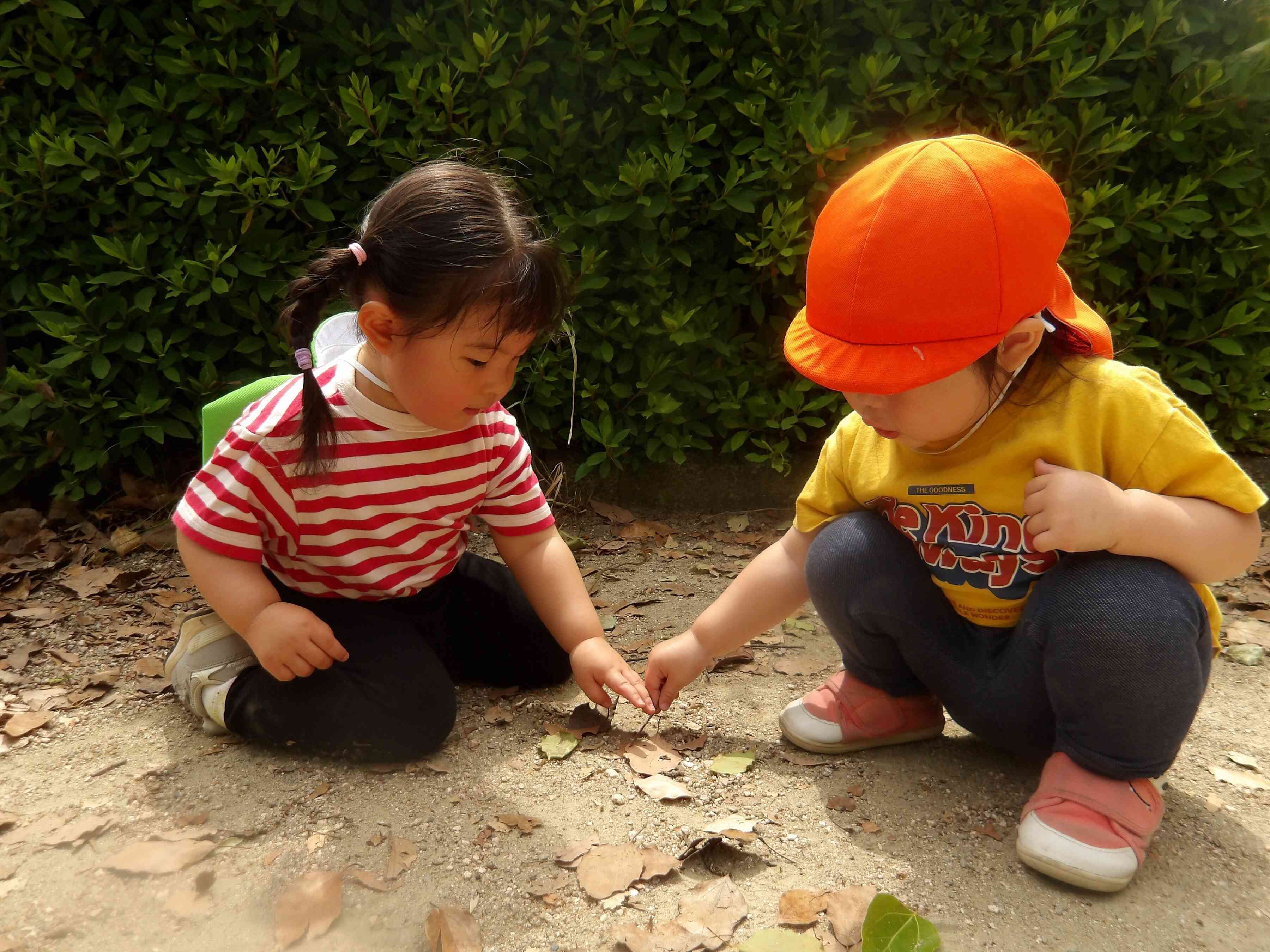 1歳児さんと2歳児さんのおともだち