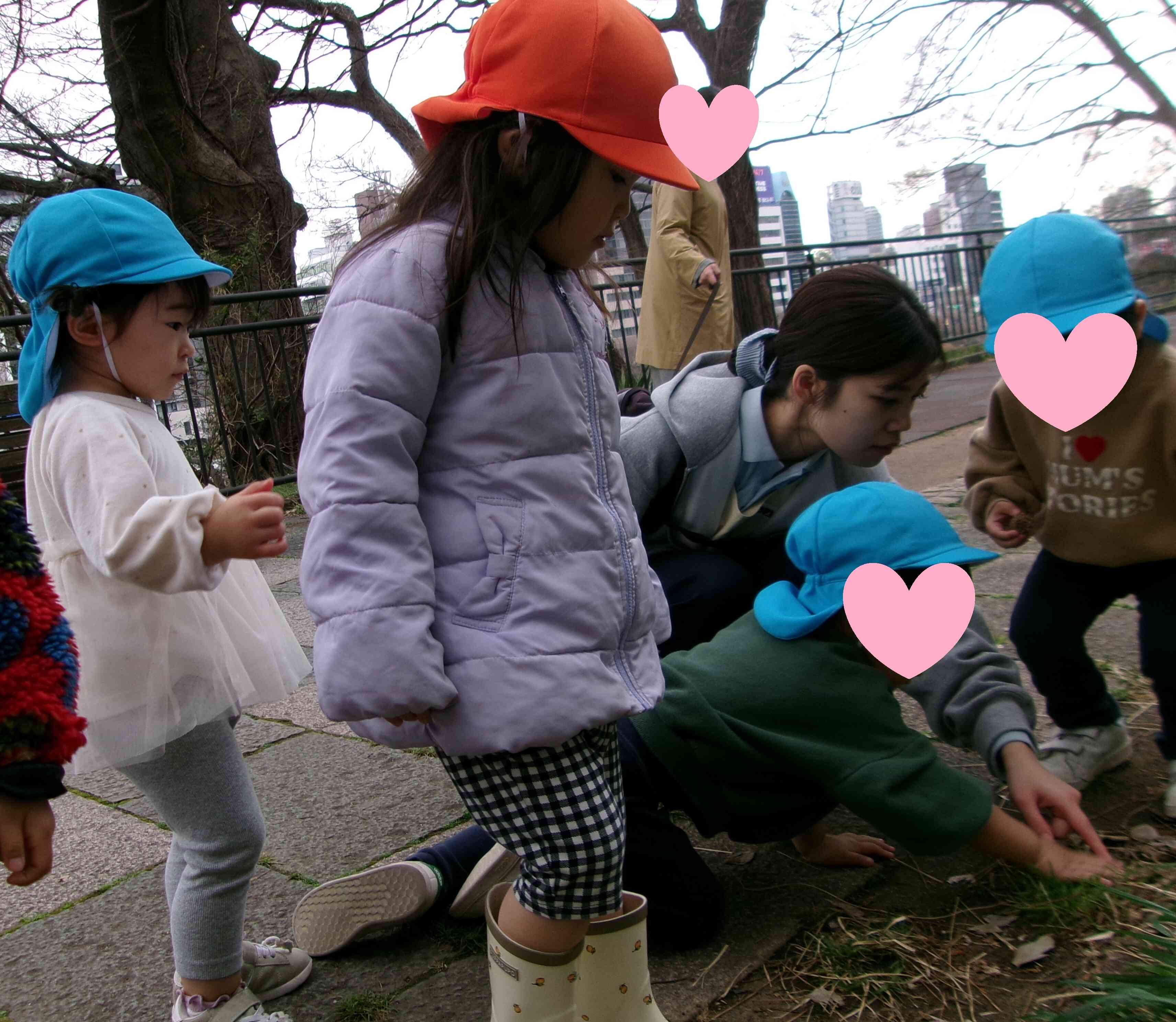 虫さんいるかな