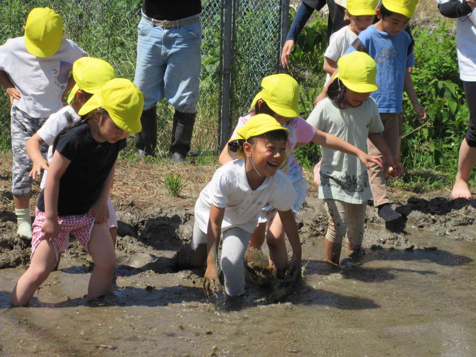 田んぼで泥んこあそび｜松山市立伊台保育園｜ニチイキッズ