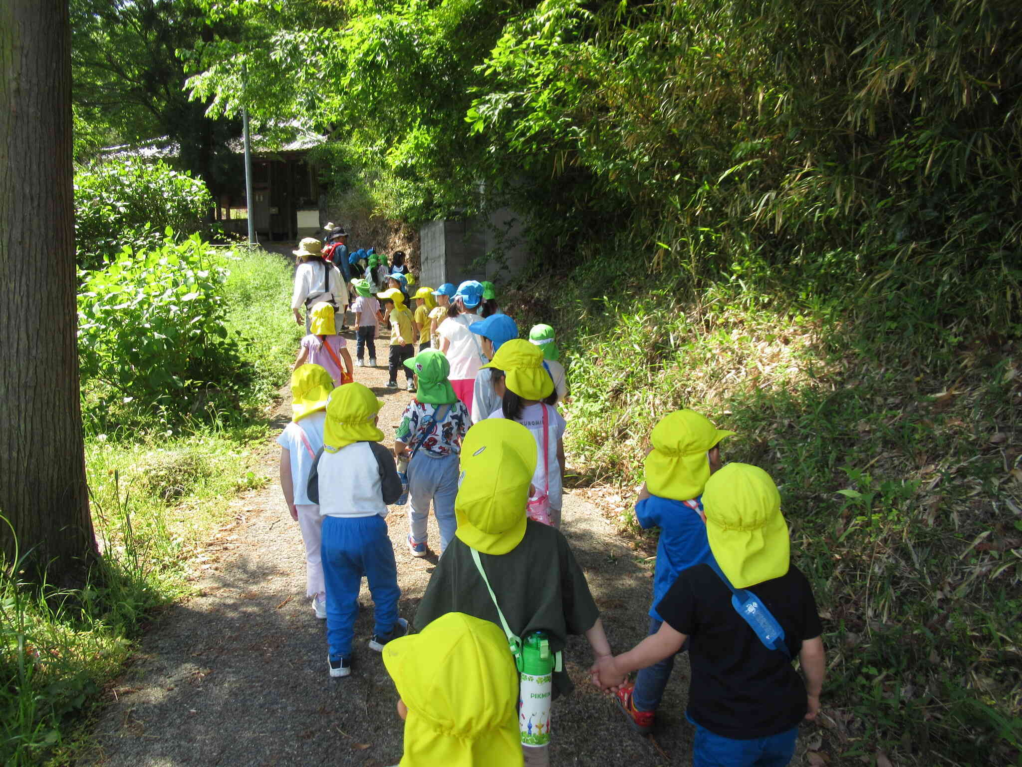 地域へのお散歩(安全指導)
