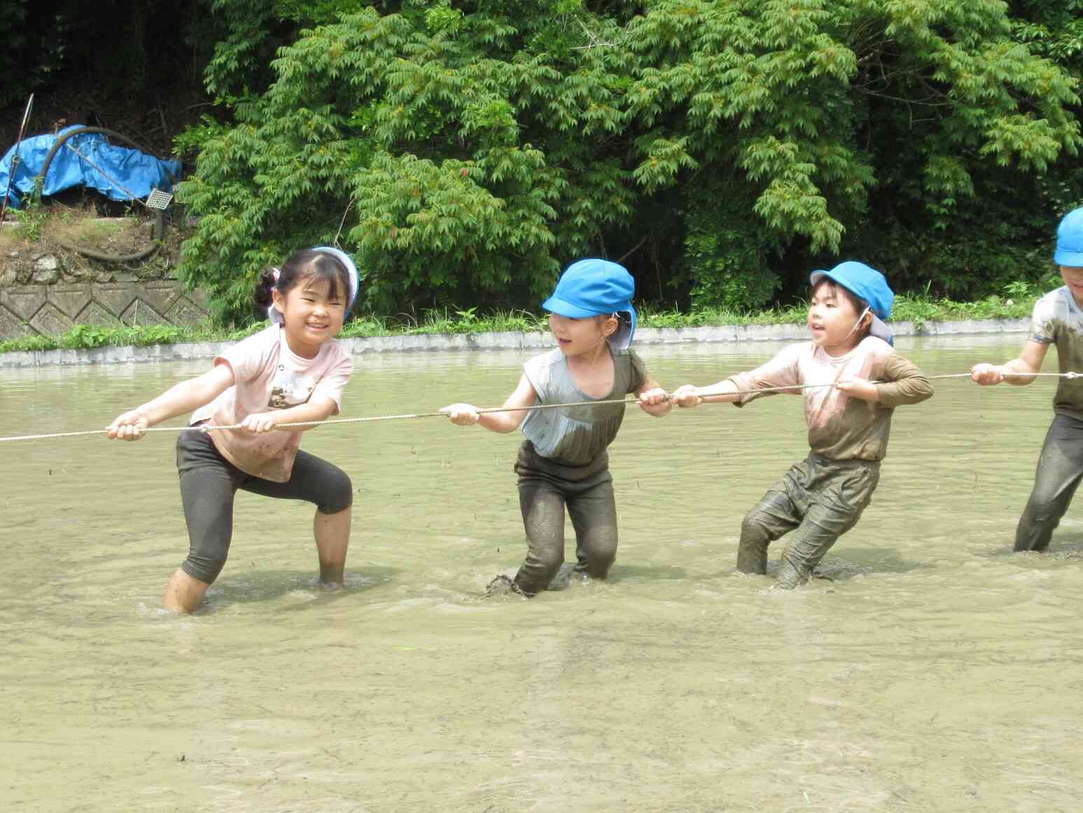 田んぼで思いっきり泥んこ遊び(ぱんだ組・きりん組)