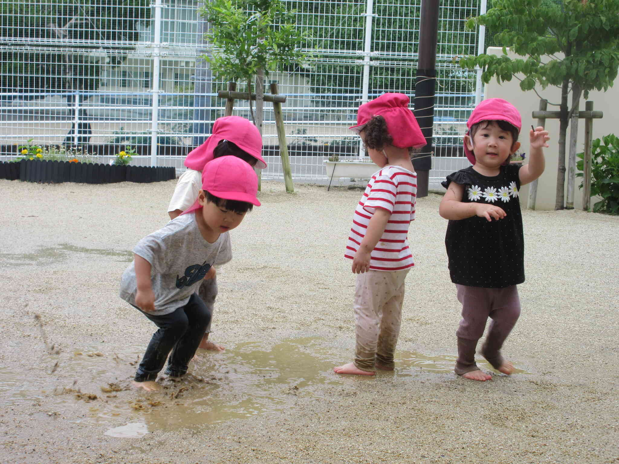 水たまりでバチャバチャ♪