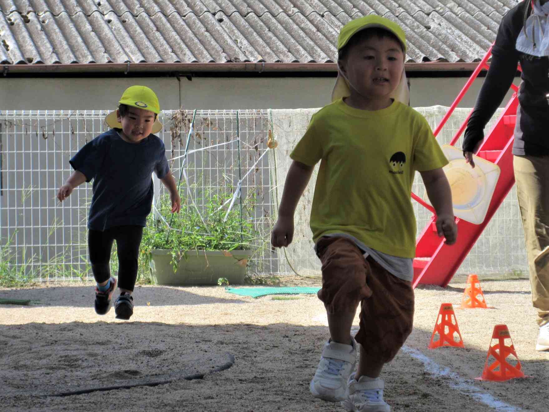 くま組のかけっこ