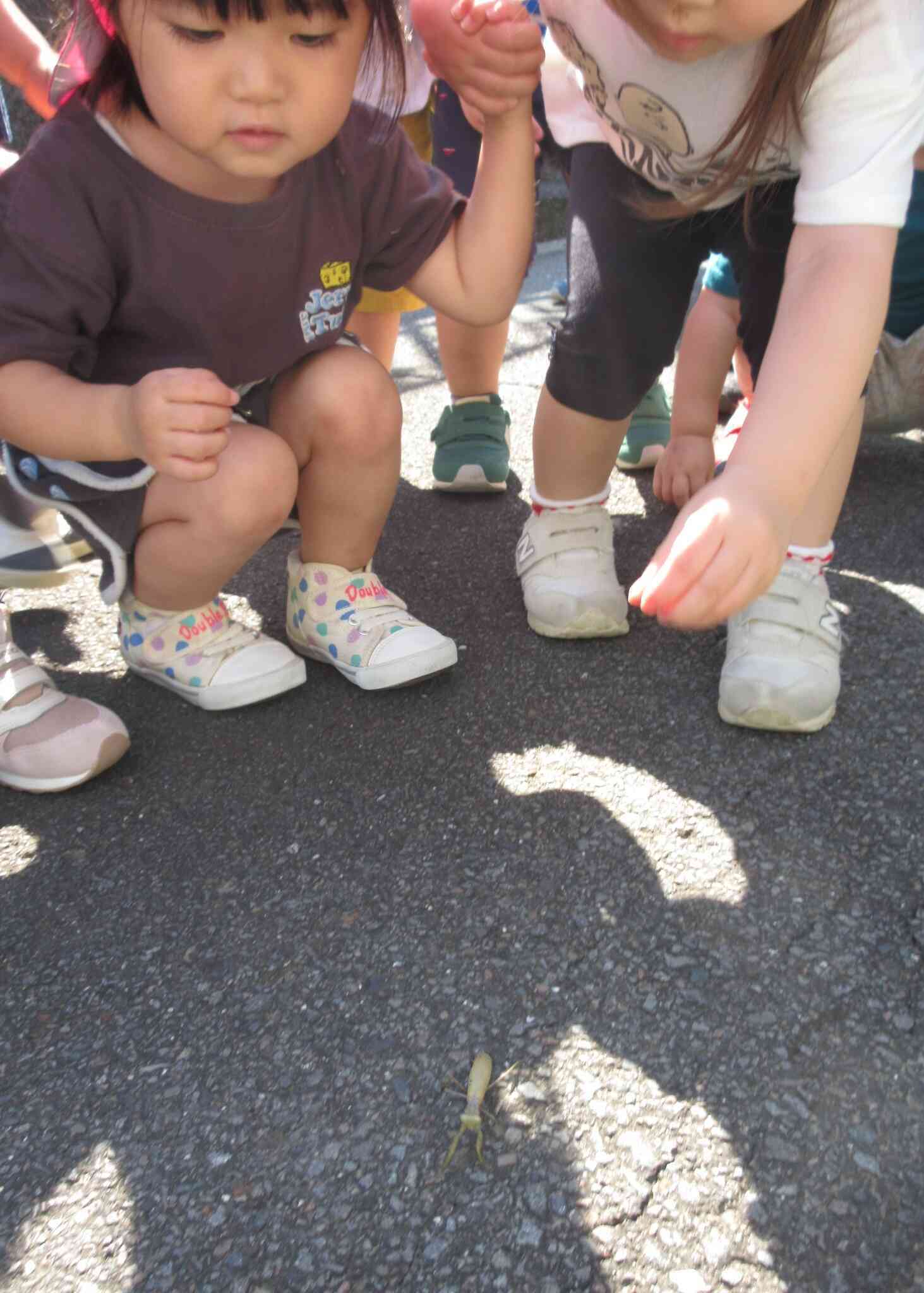 かまきり見~つけた!