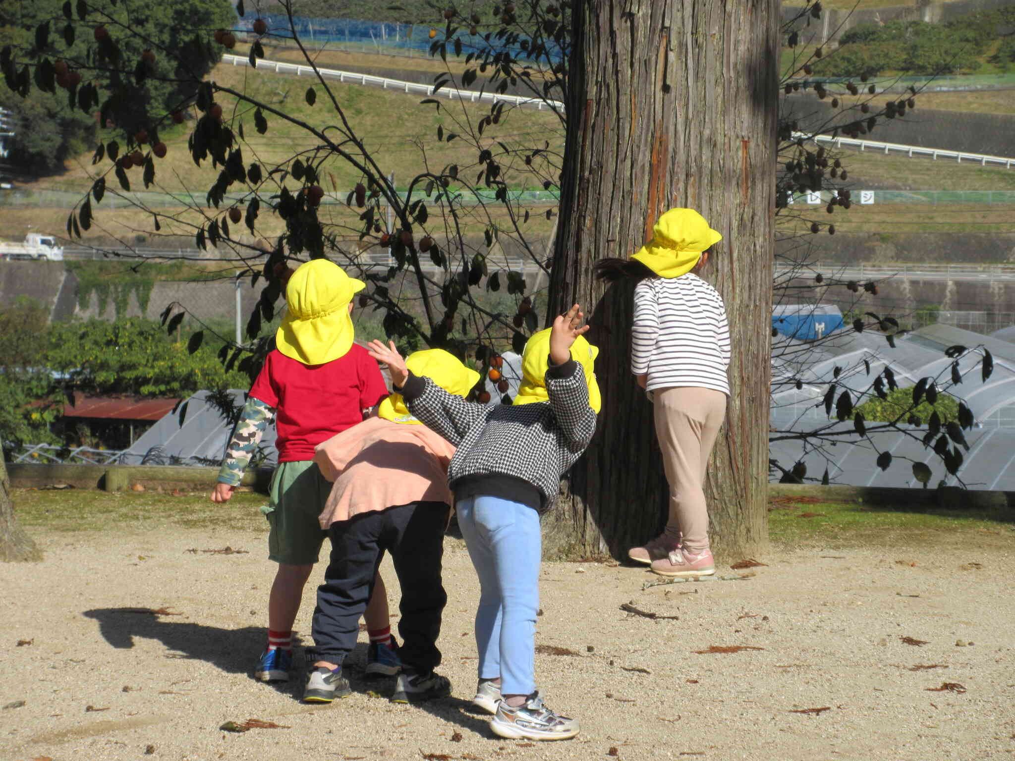 だるまさんが・・・だんだん近づいてきました♪