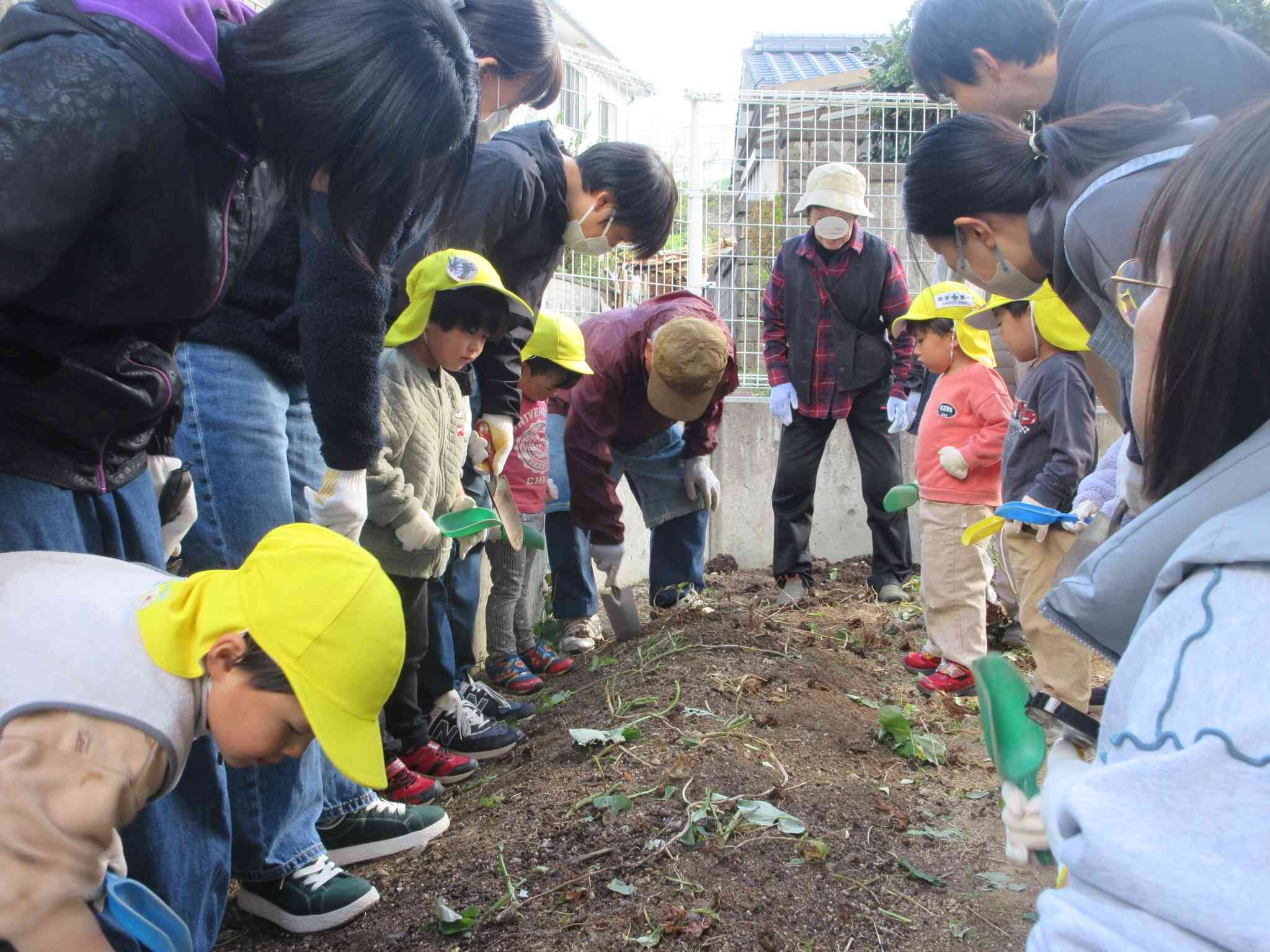 大きなお芋掘れるかなあ、ドキドキ☆