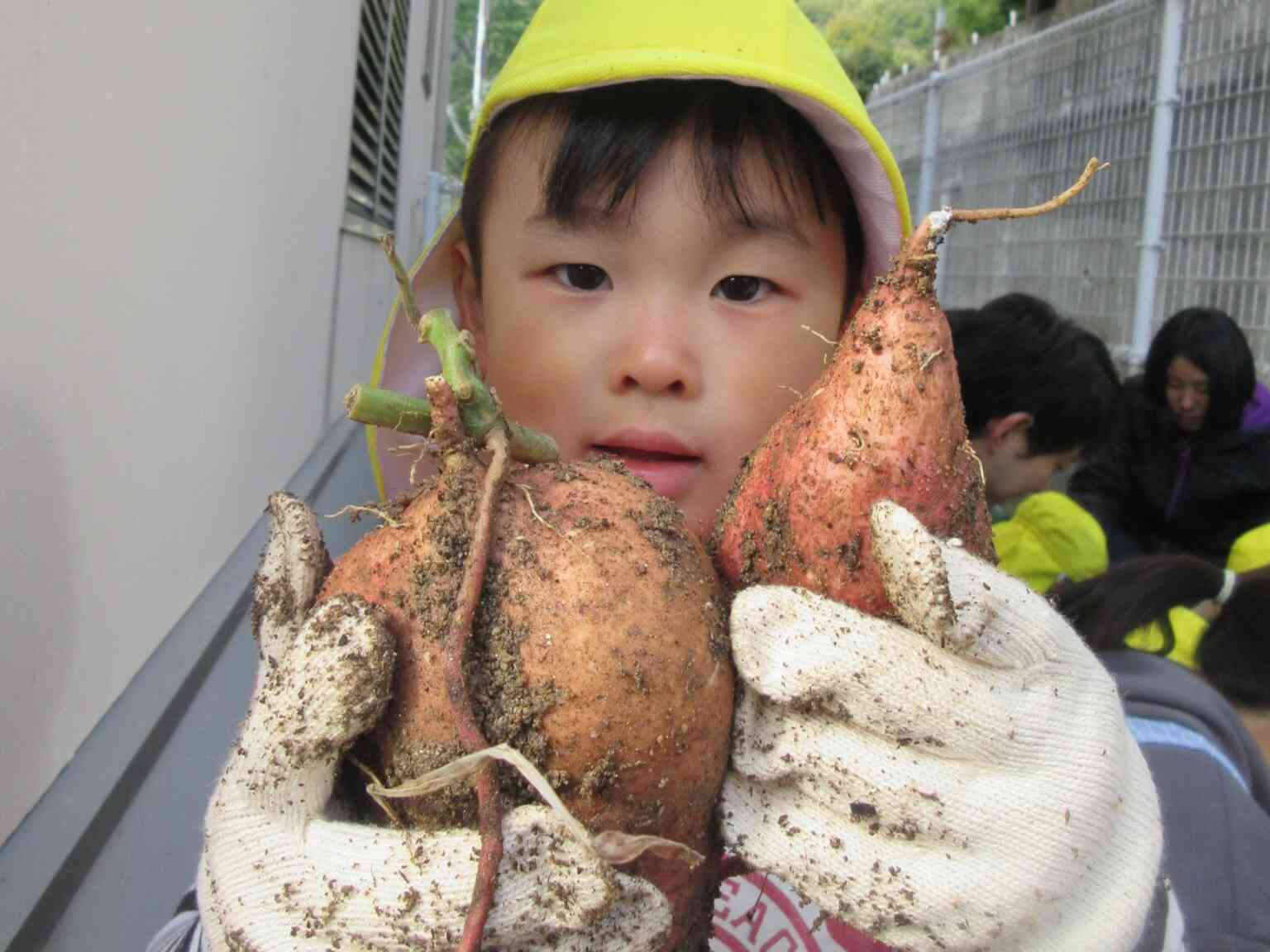 芋ほり(くま組)