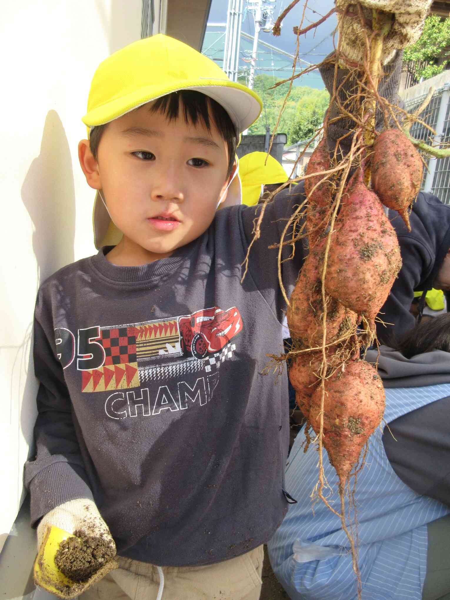 すずなりの芋！
