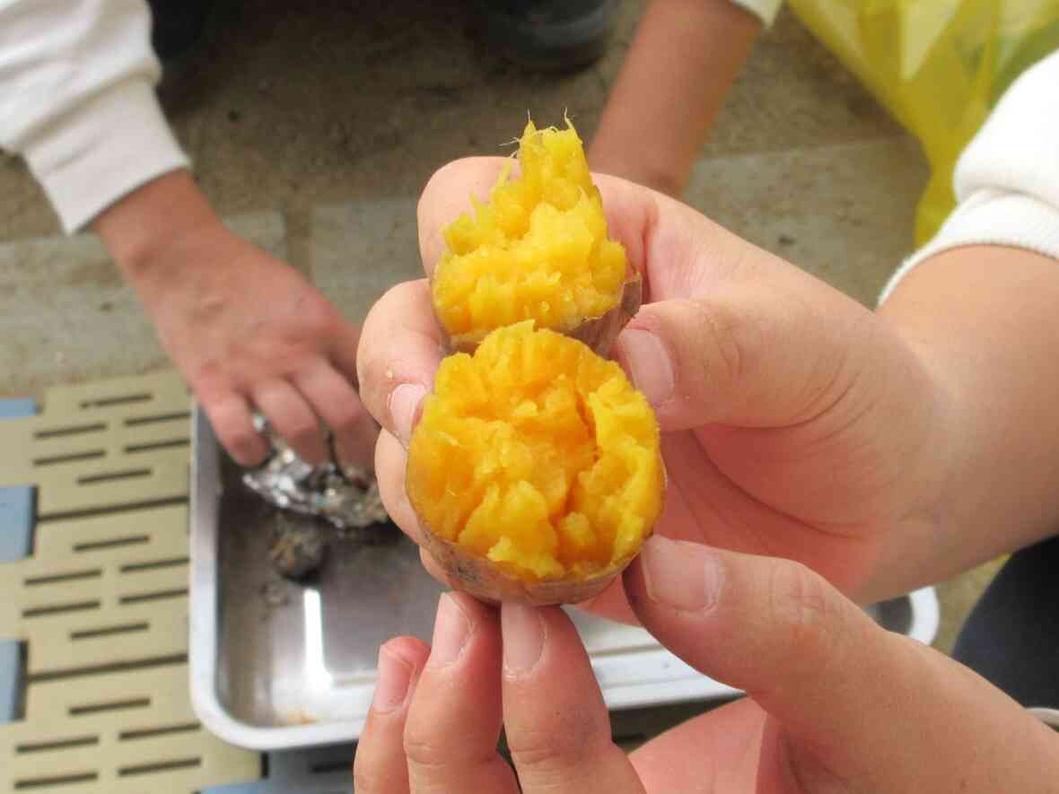 中はこんなにも真っ黄色の、ほくほくお芋！