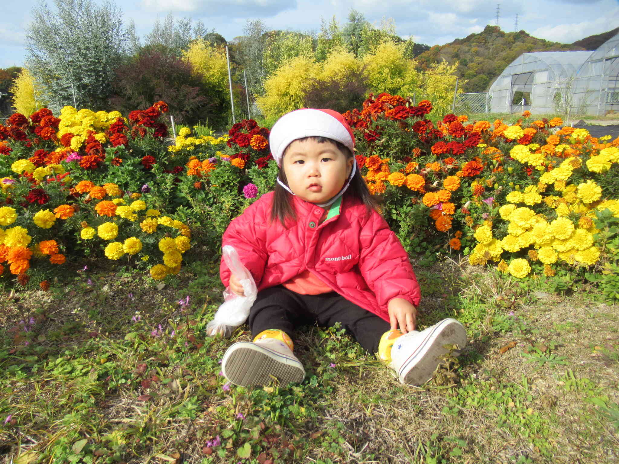 農業大学校さんへお散歩に行きました。見事に咲いたマリーゴールドの前で♪