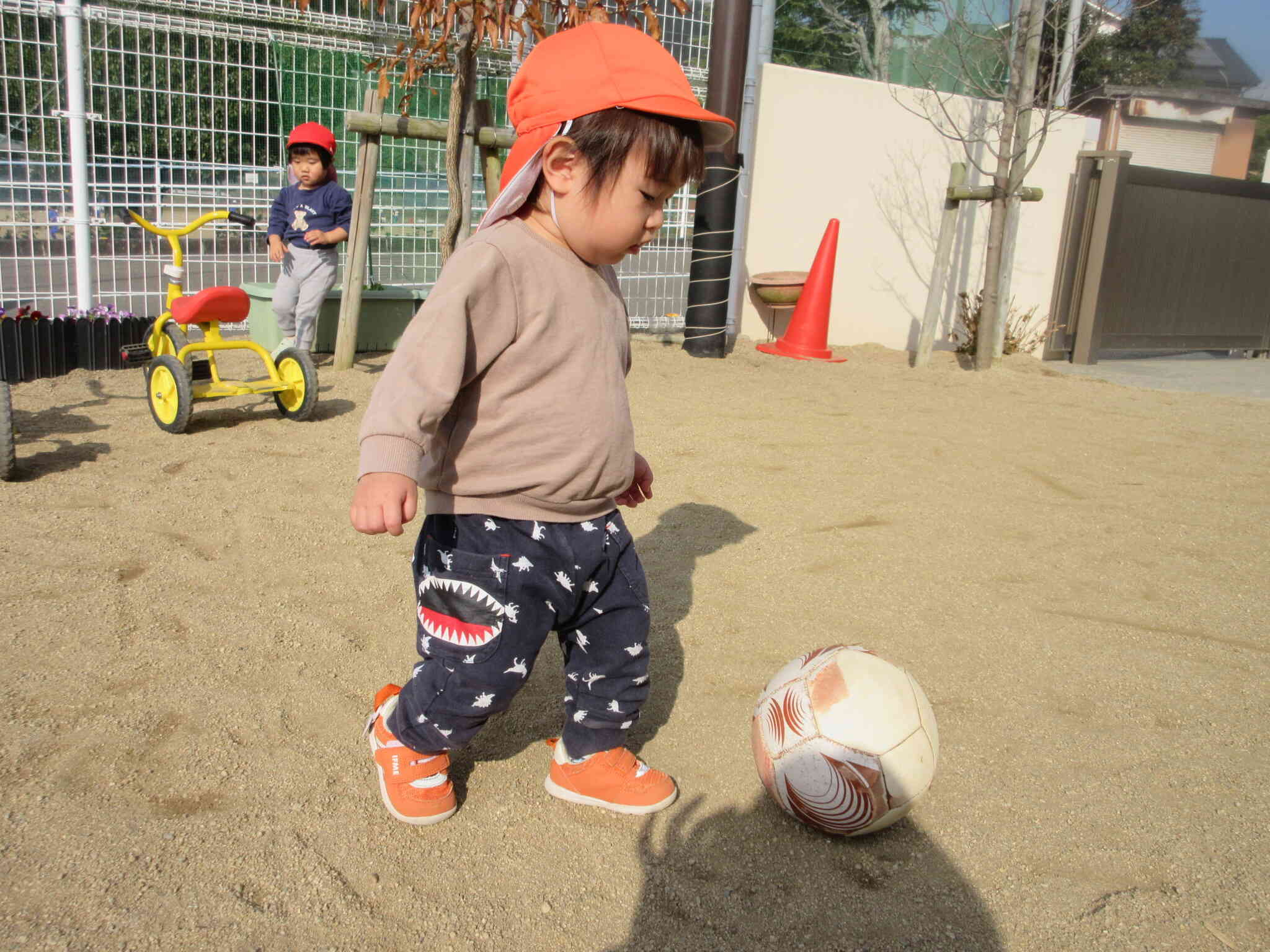 0歳児のひよこ組さんもボールを追いかけます。