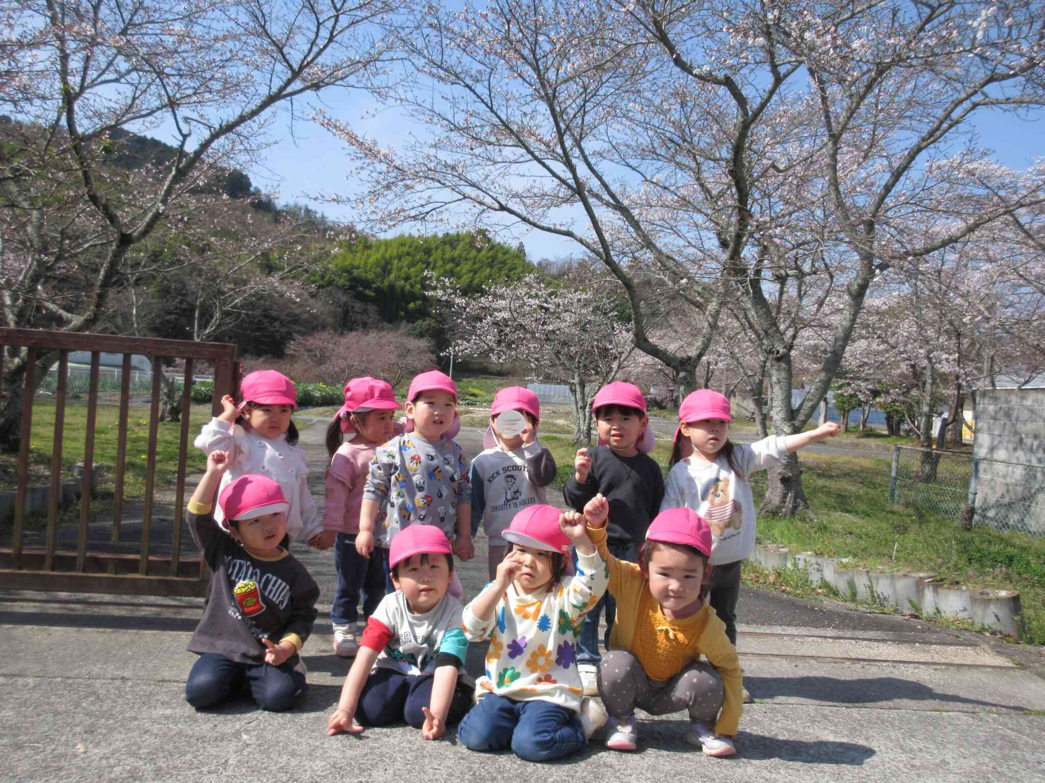 桜が開花しました！