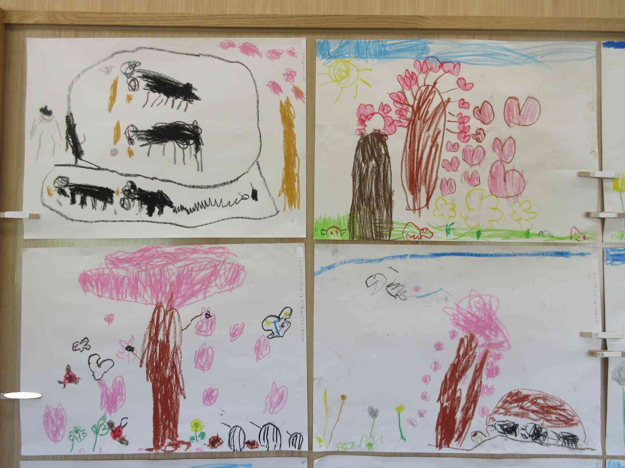 さくらとだんごむし