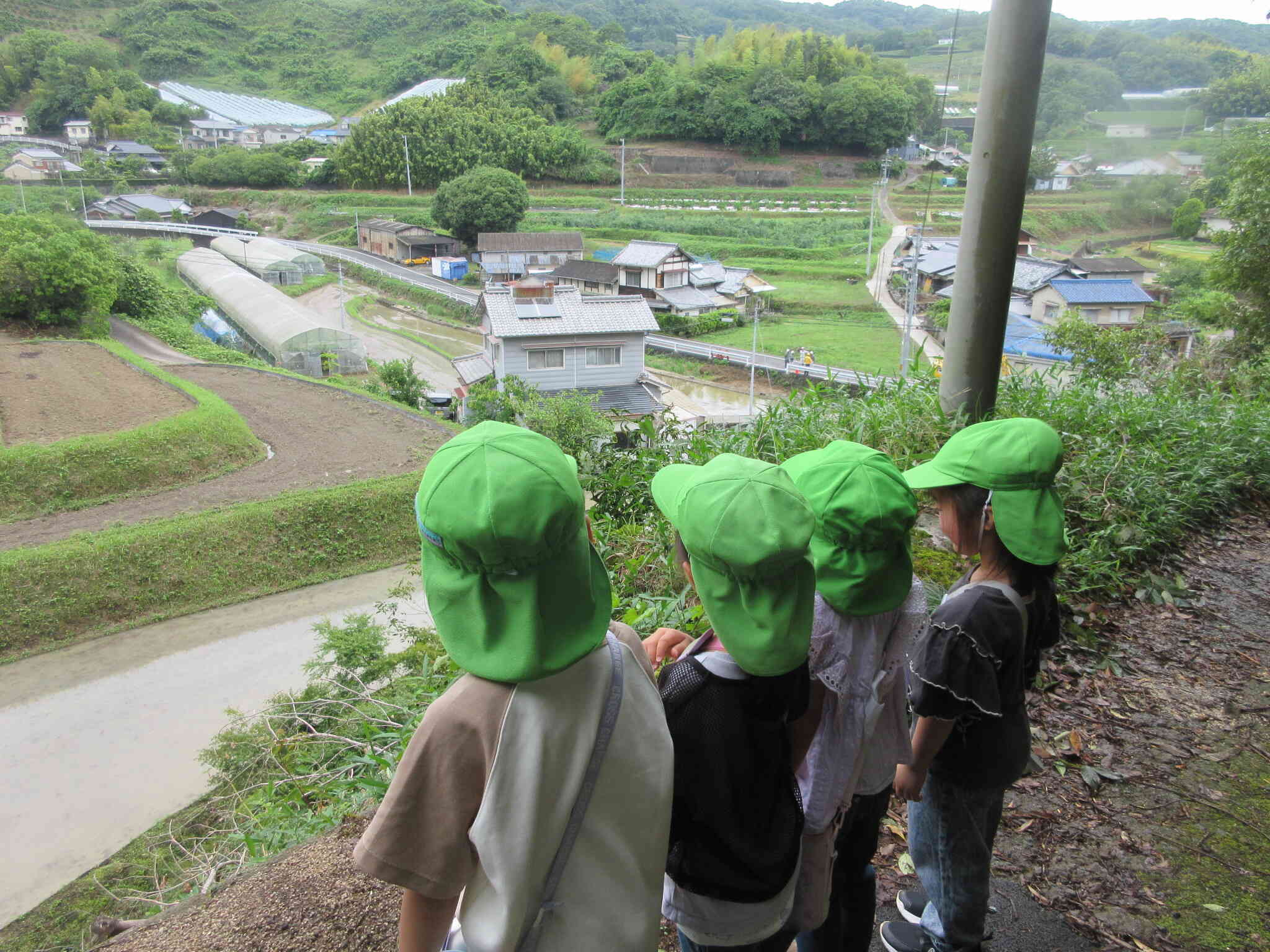 未来へ継承したい伊台の自然