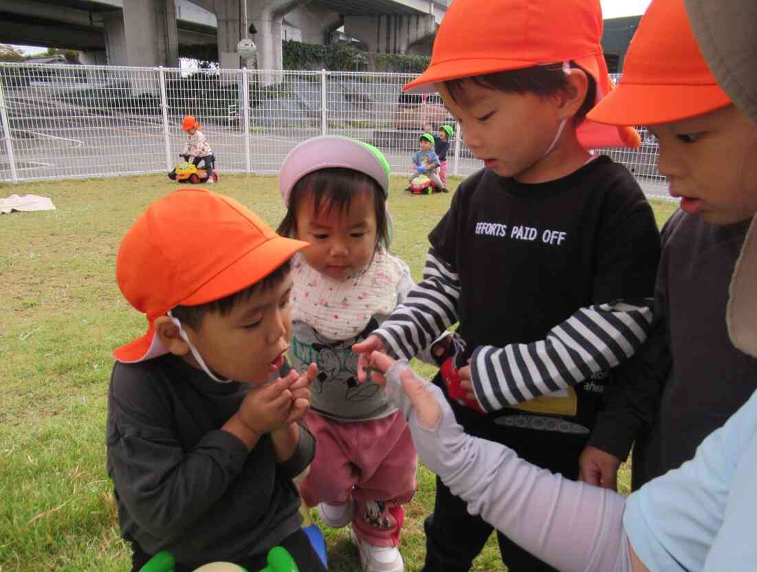 『トンボさん、こんにちわ』