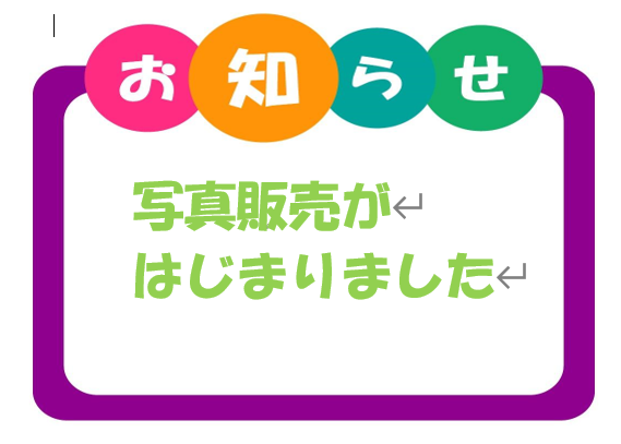 11月の写真販売のお知らせ