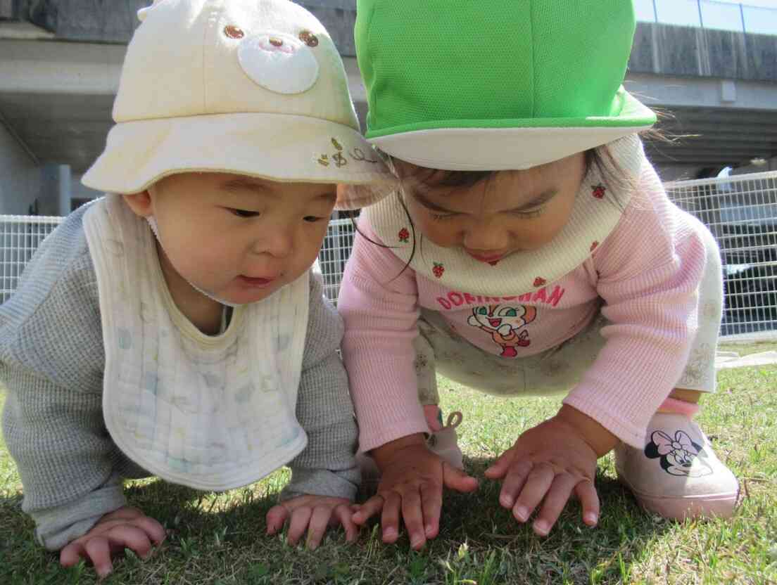 新年度がはじまりました。