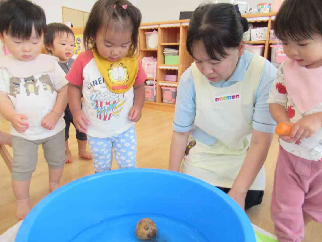 5月の食育①