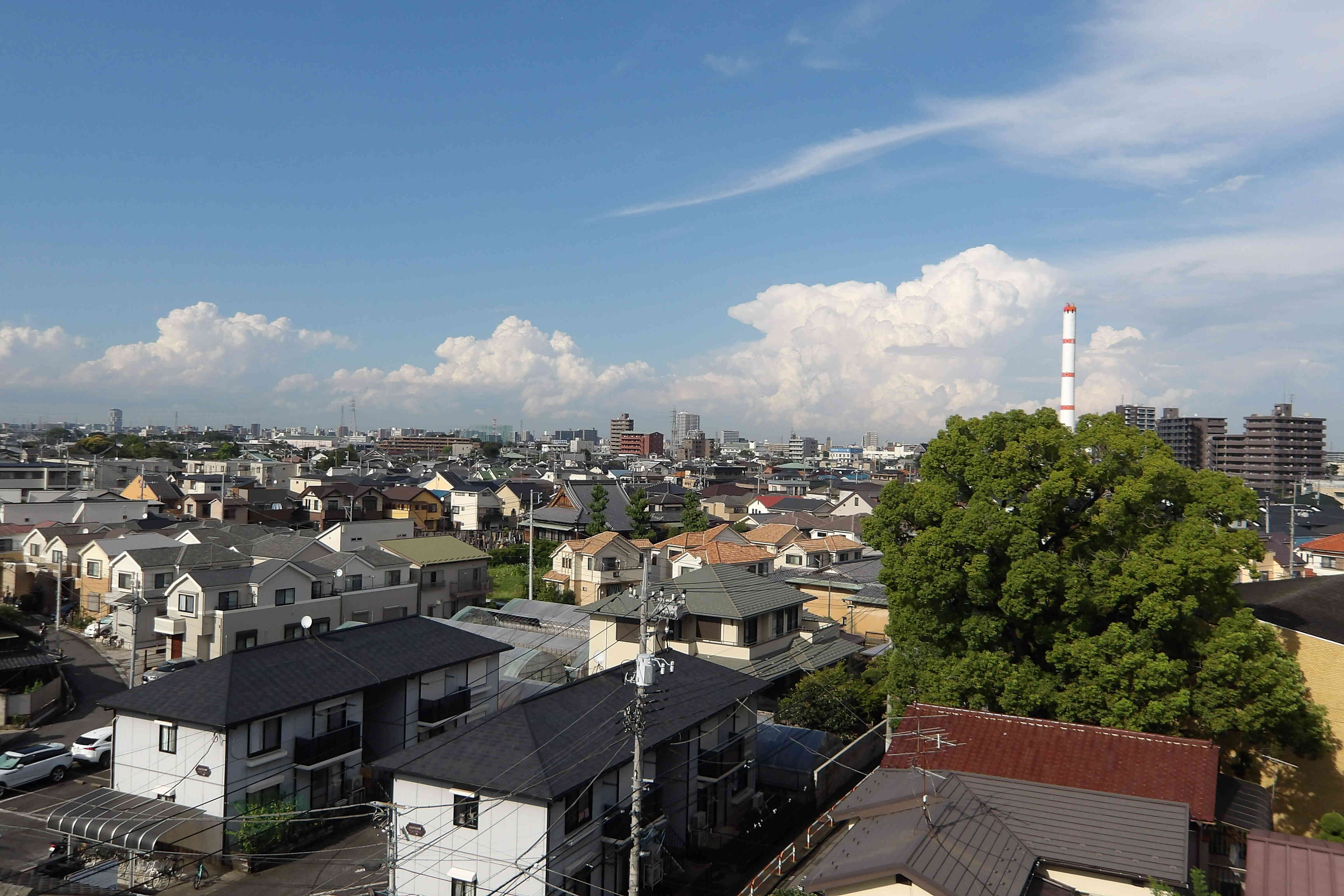 雨も上がっていい天気でした