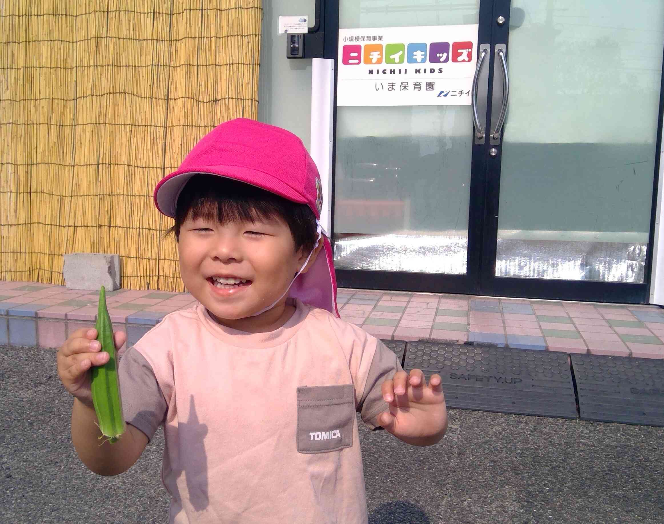 大きいオクラが出来たね。オクラは産毛があるからしっかり手を洗おうね