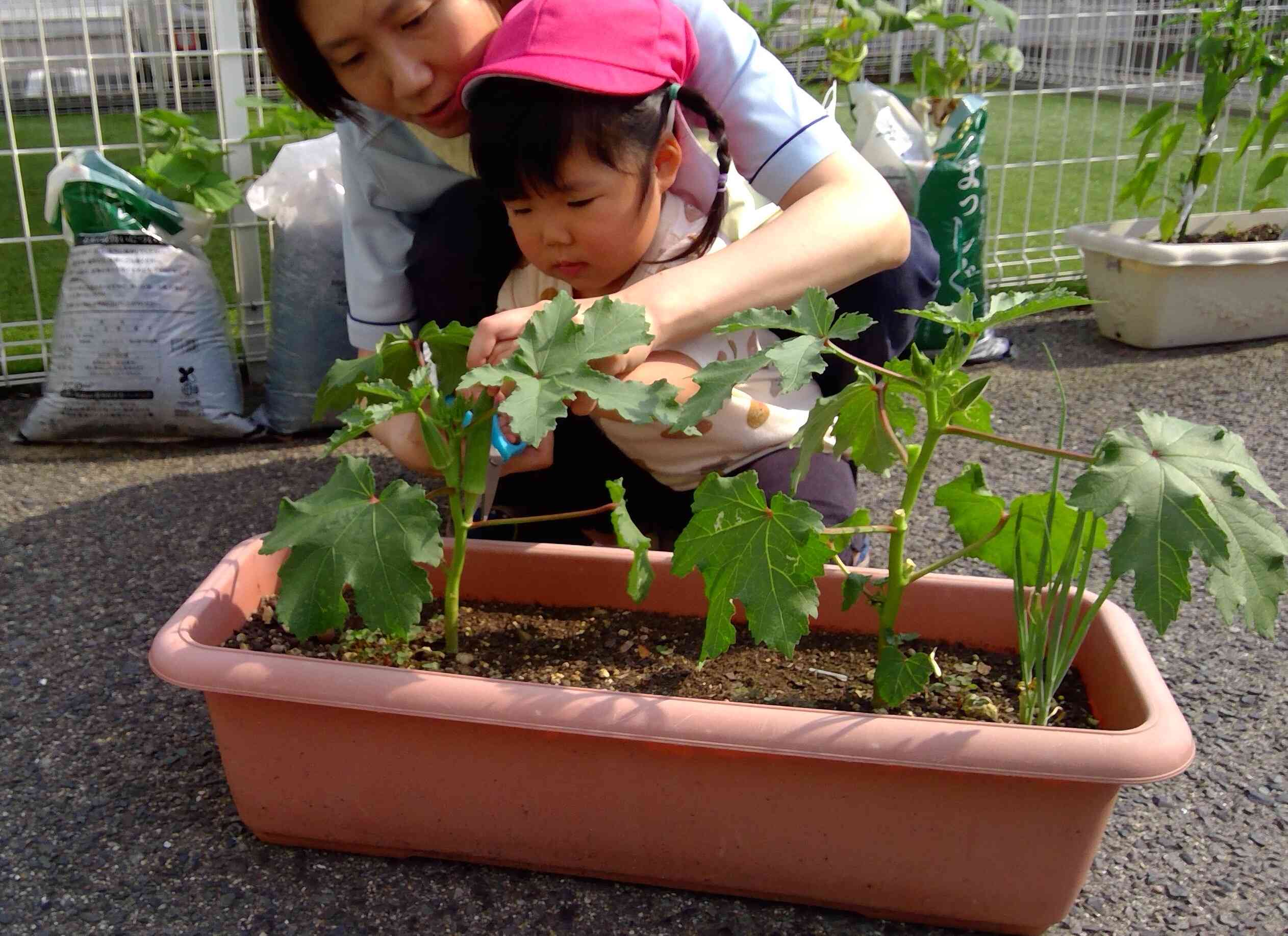 こちらは先生と一緒に