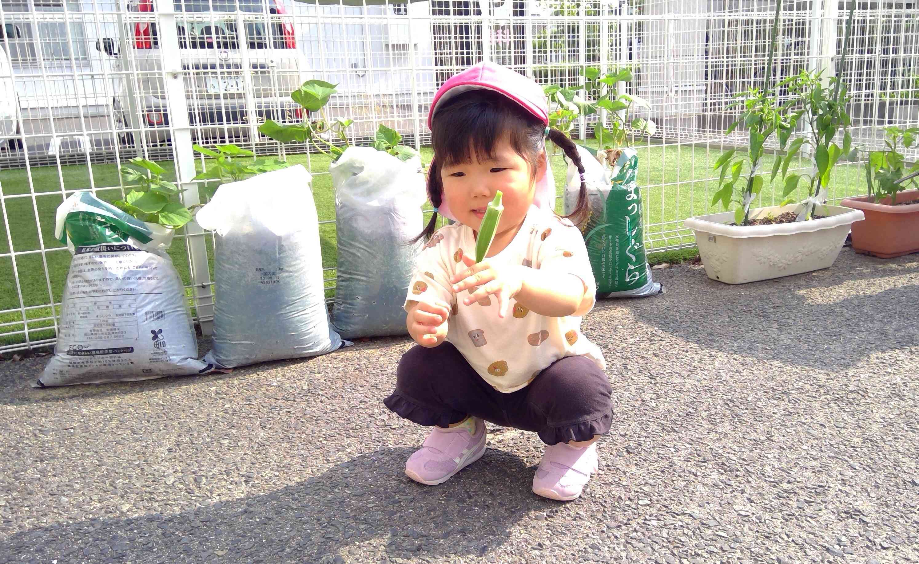 給食が楽しみだね。